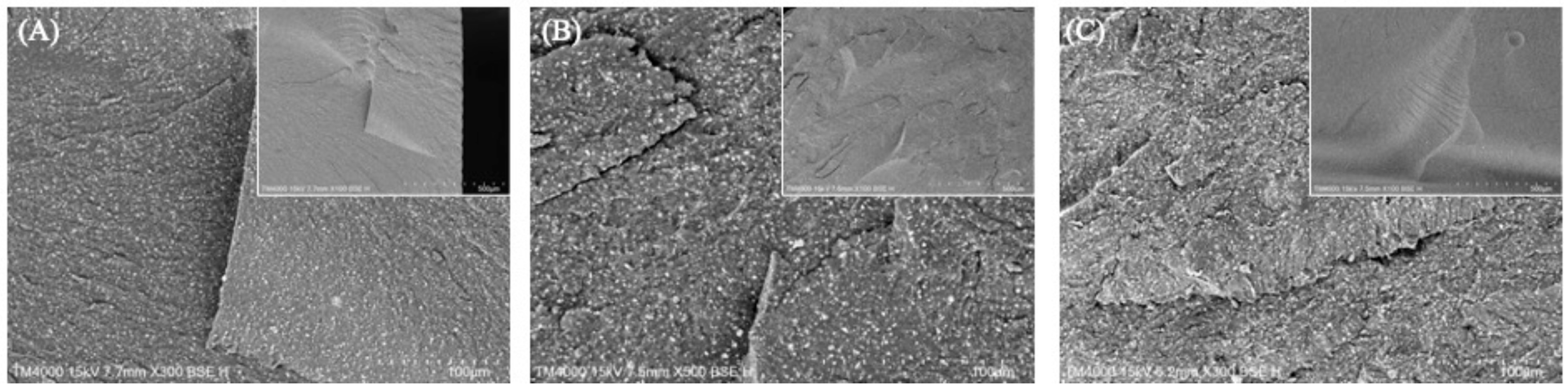 Polymers 17 02694 g005 Polymers 17 02694 g005