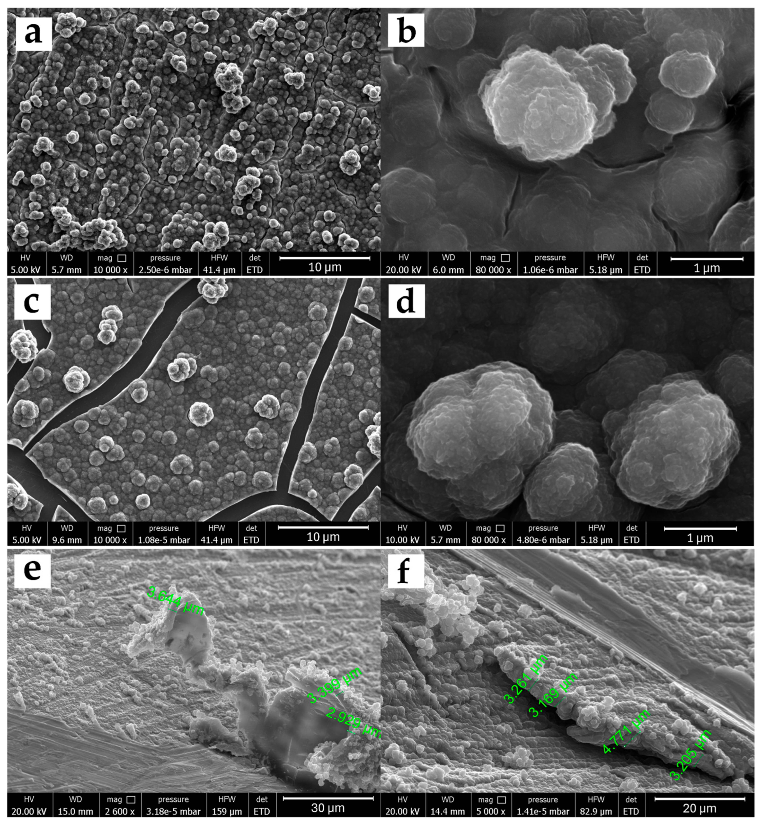 Polymers 17 02702 g002 Polymers 17 02702 g002