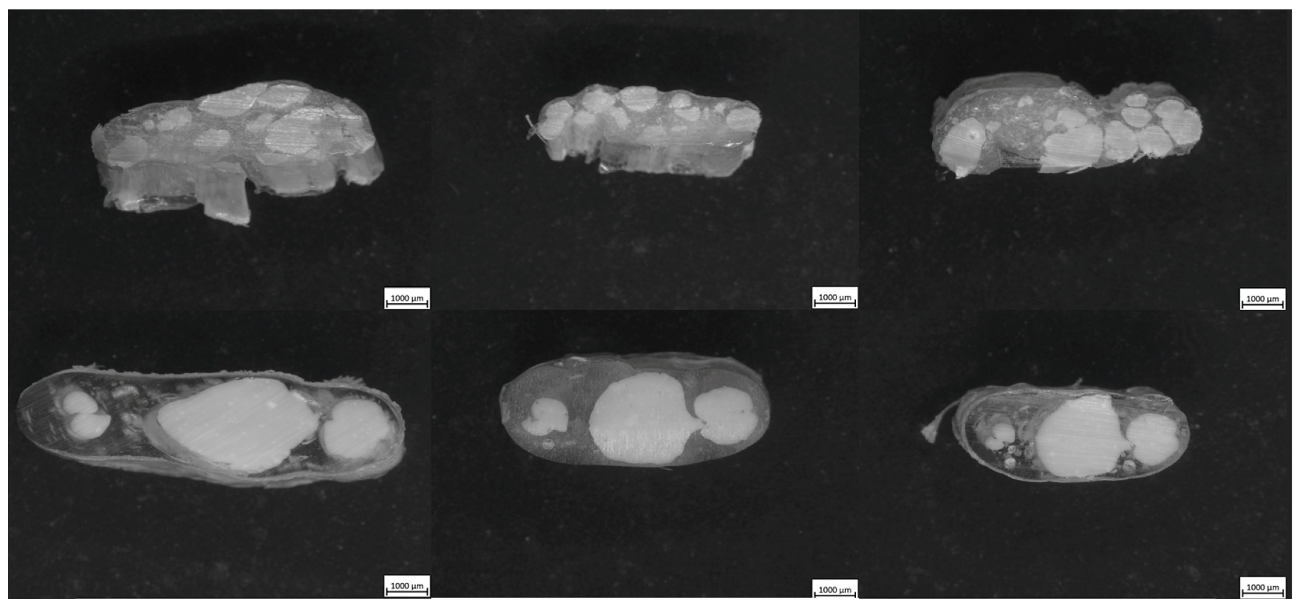 Polymers 17 02703 g012