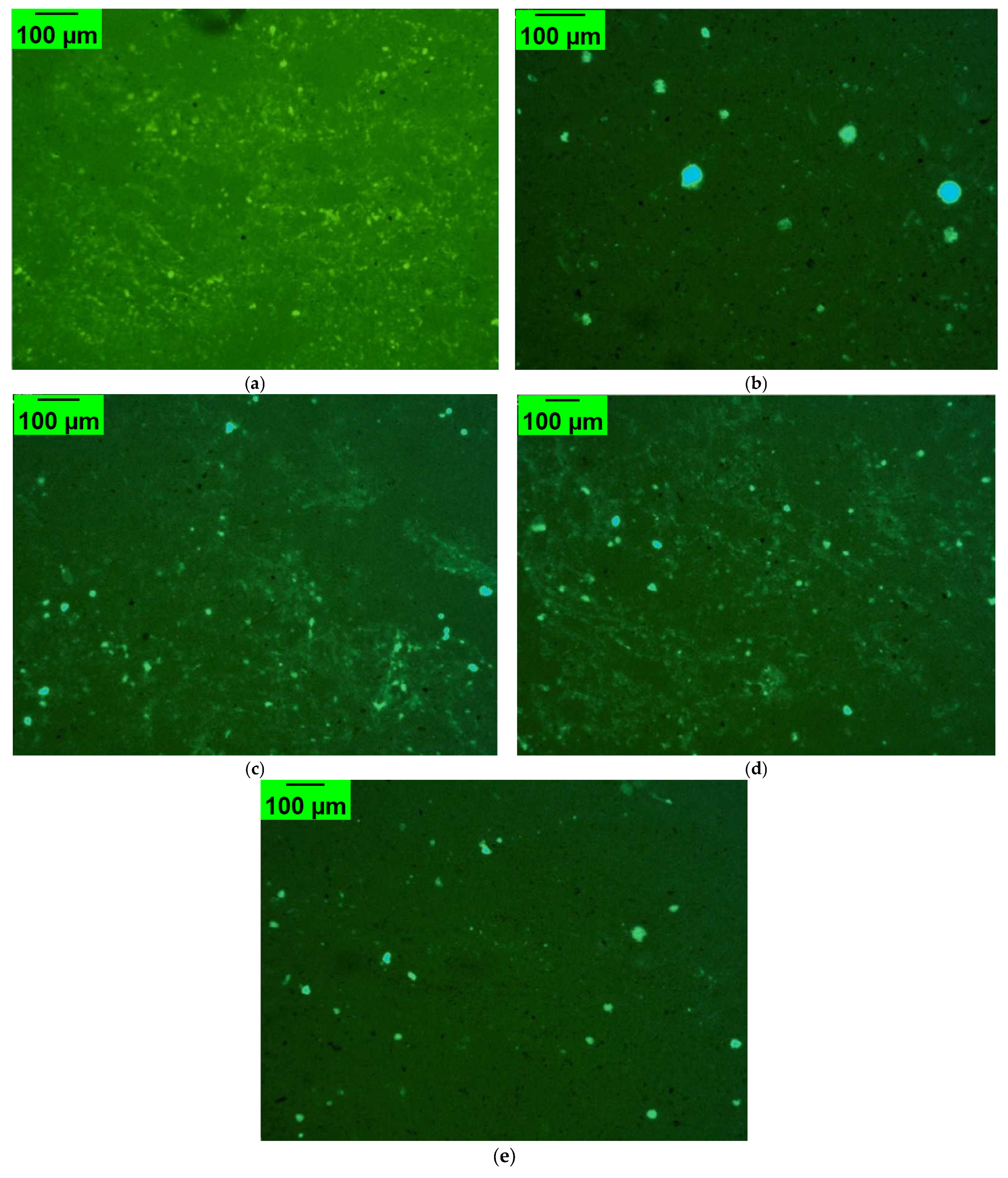 Polymers 17 02704 g011