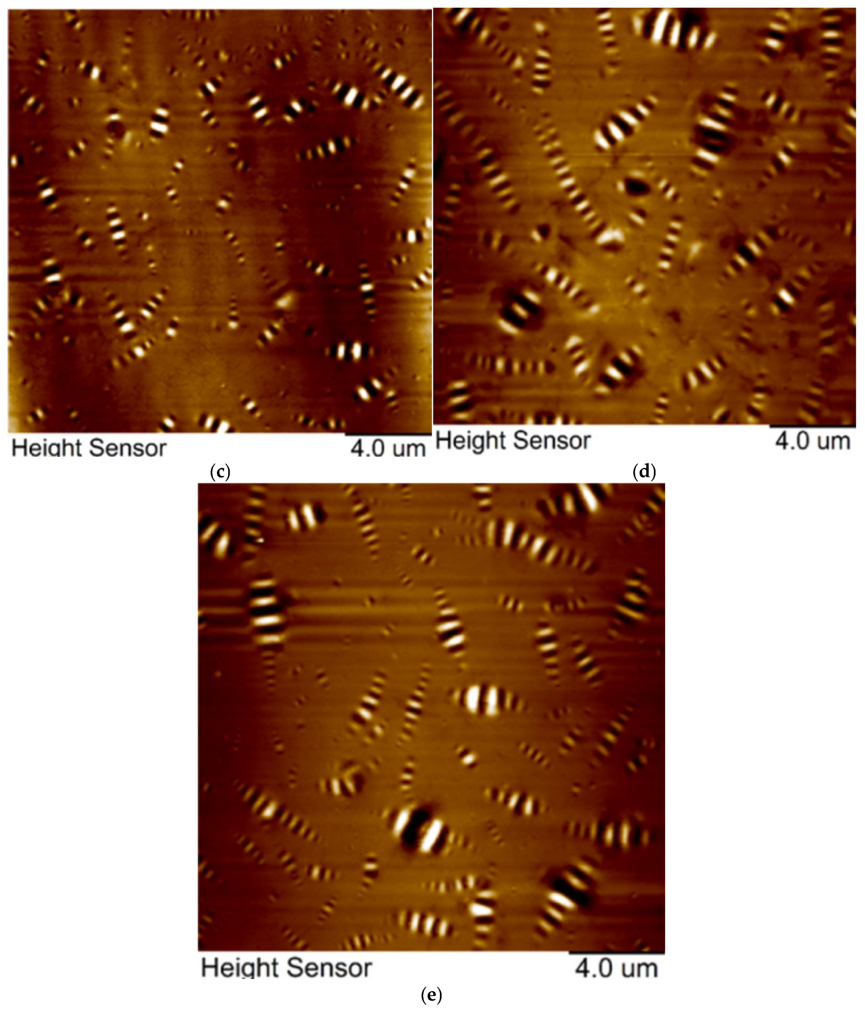 Polymers 17 02704 g013b