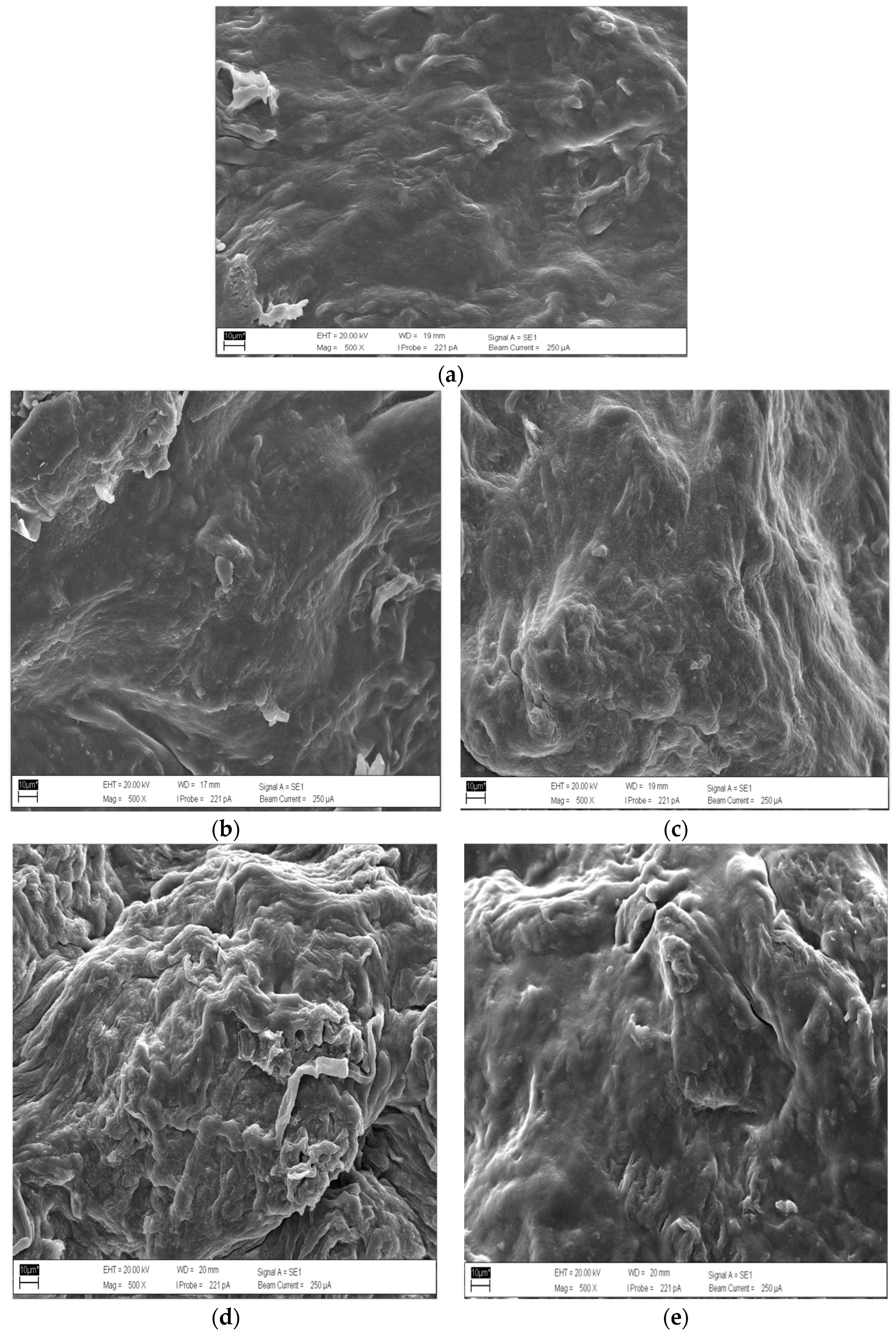 Polymers 17 02709 g005