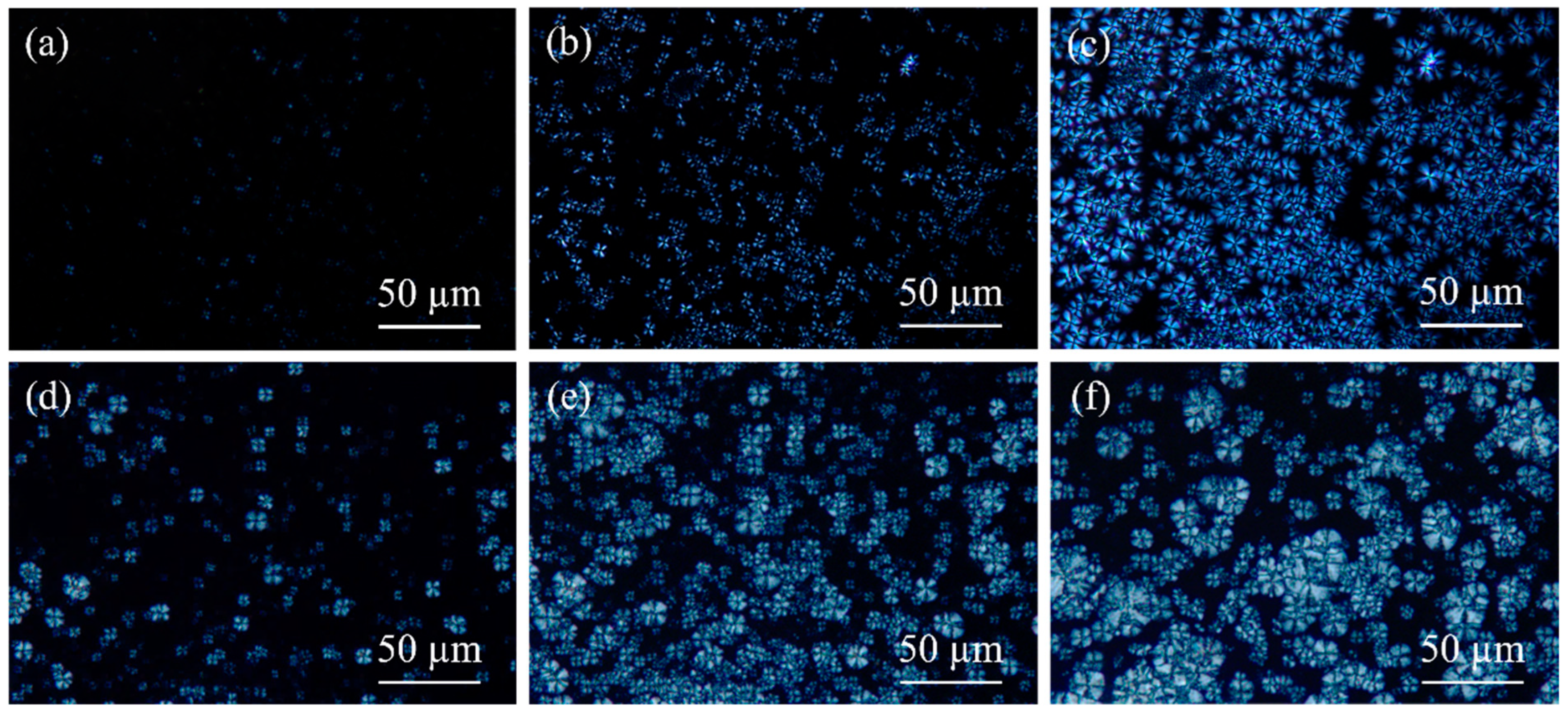Polymers 17 02713 g008