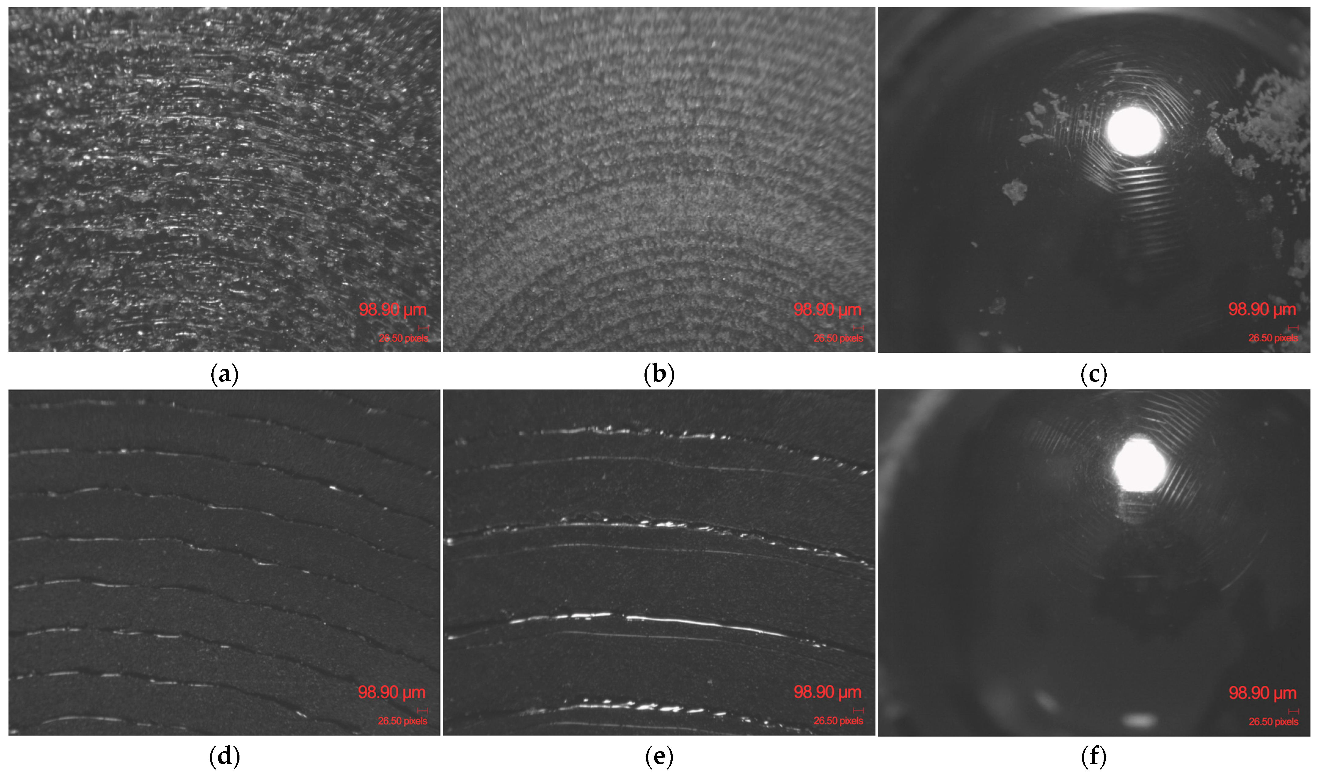 Polymers 17 02716 g013
