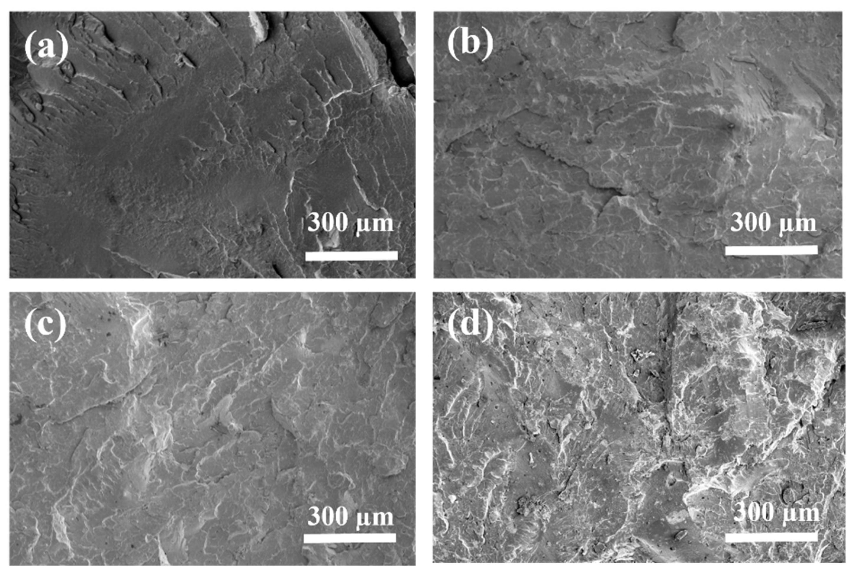 Polymers 17 02717 g008 Polymers 17 02717 g008