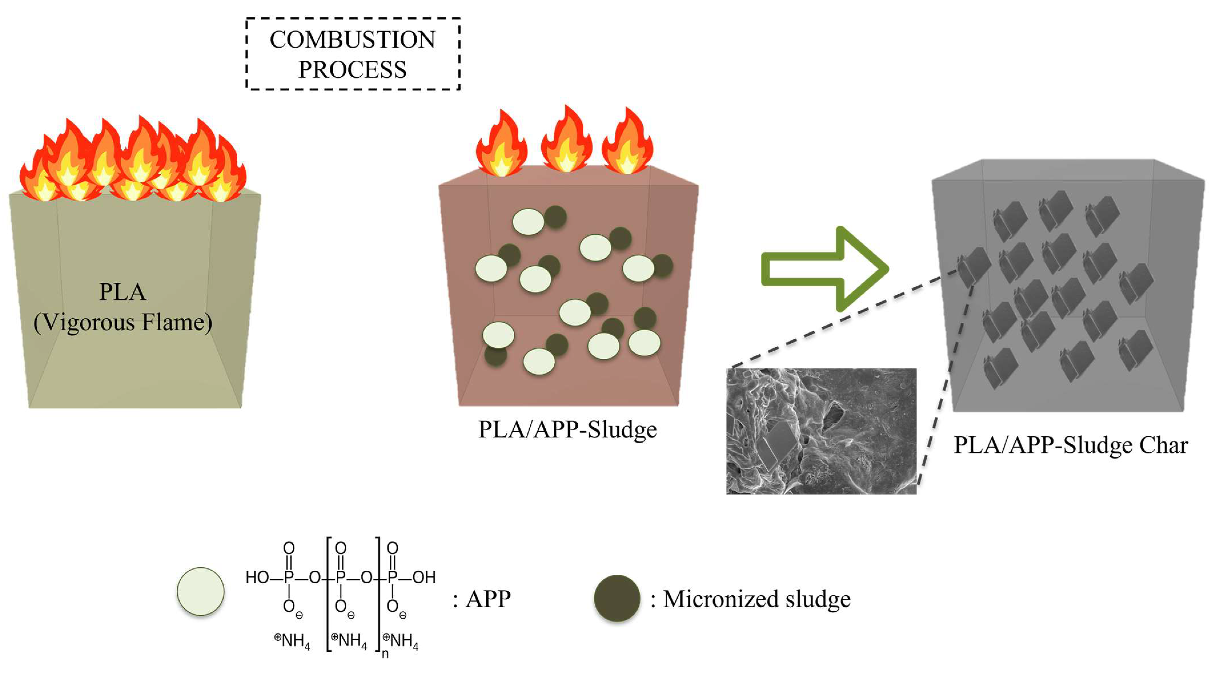 Polymers 17 02717 g012 Polymers 17 02717 g012