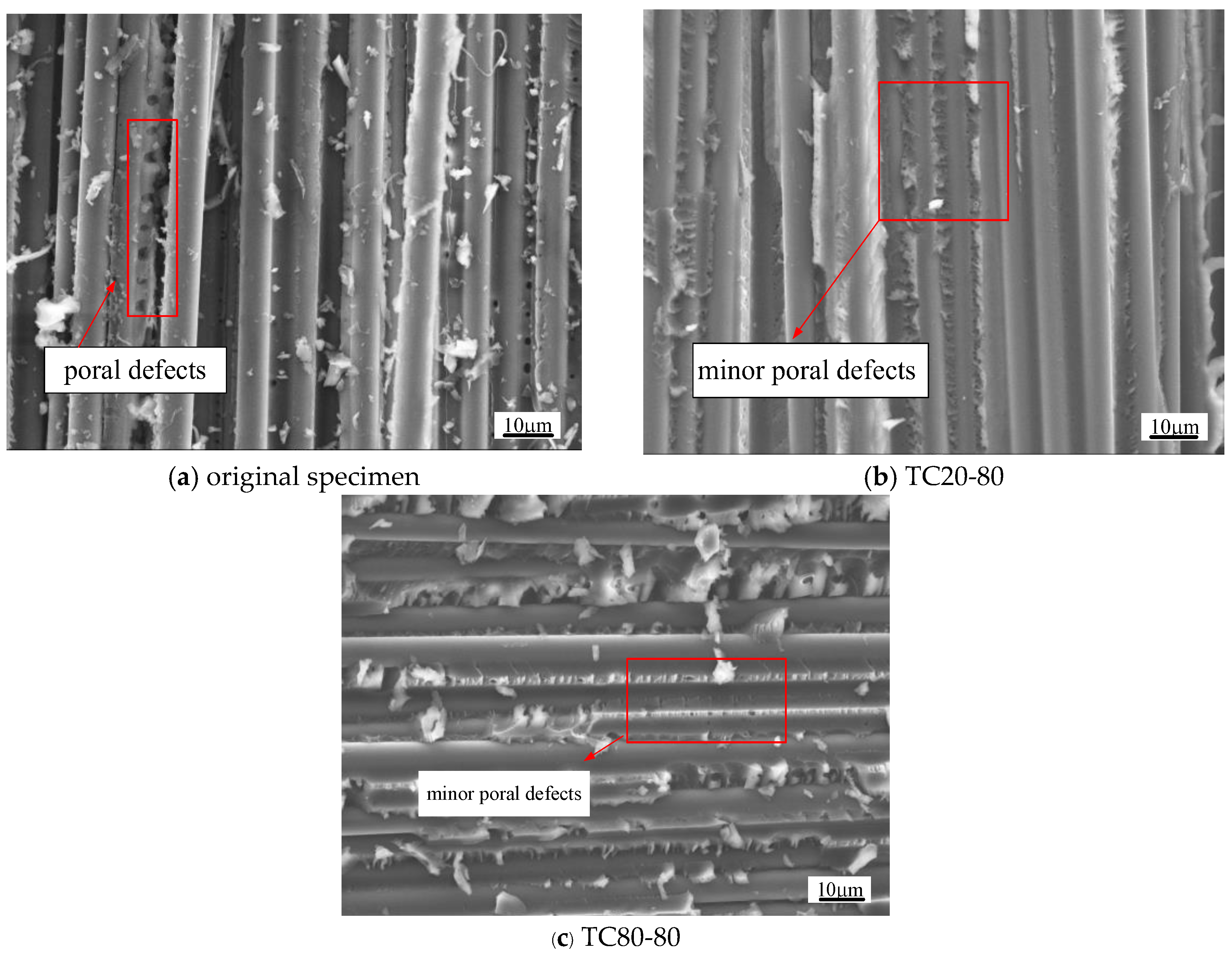 Polymers 17 02718 g007 Polymers 17 02718 g007