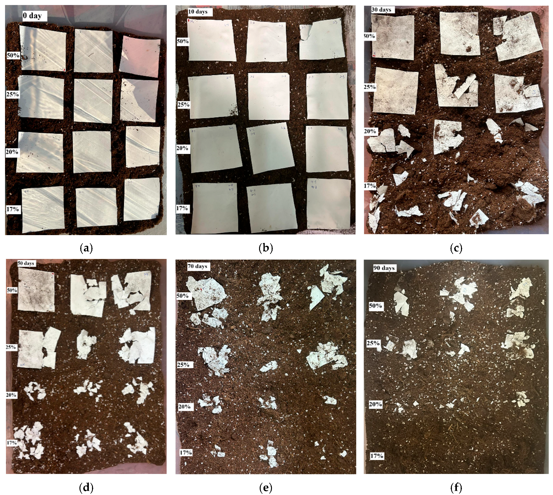 Polymers 17 02719 g005 Polymers 17 02719 g005