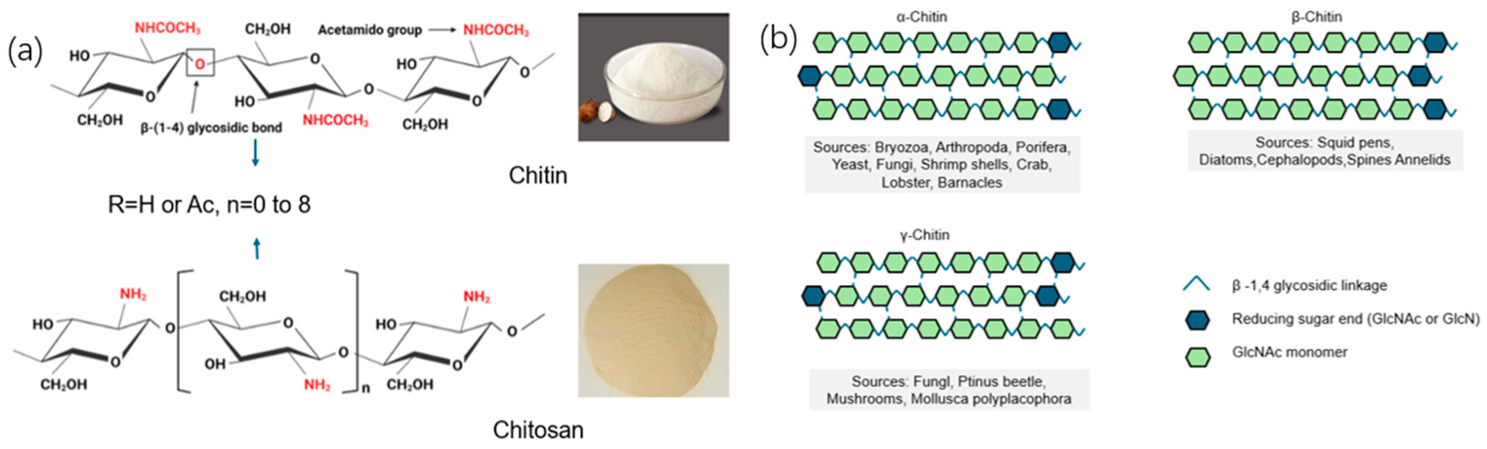 Polymers 17 02722 g001