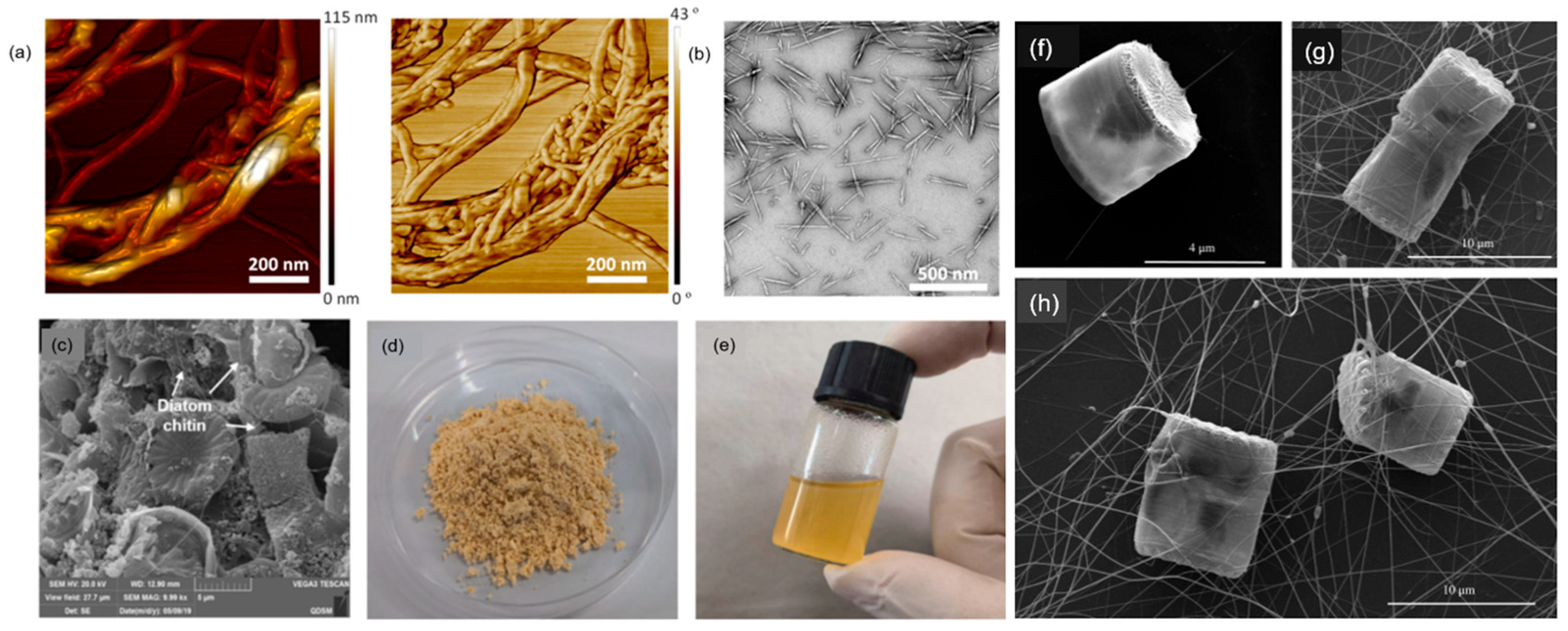 Polymers 17 02722 g002