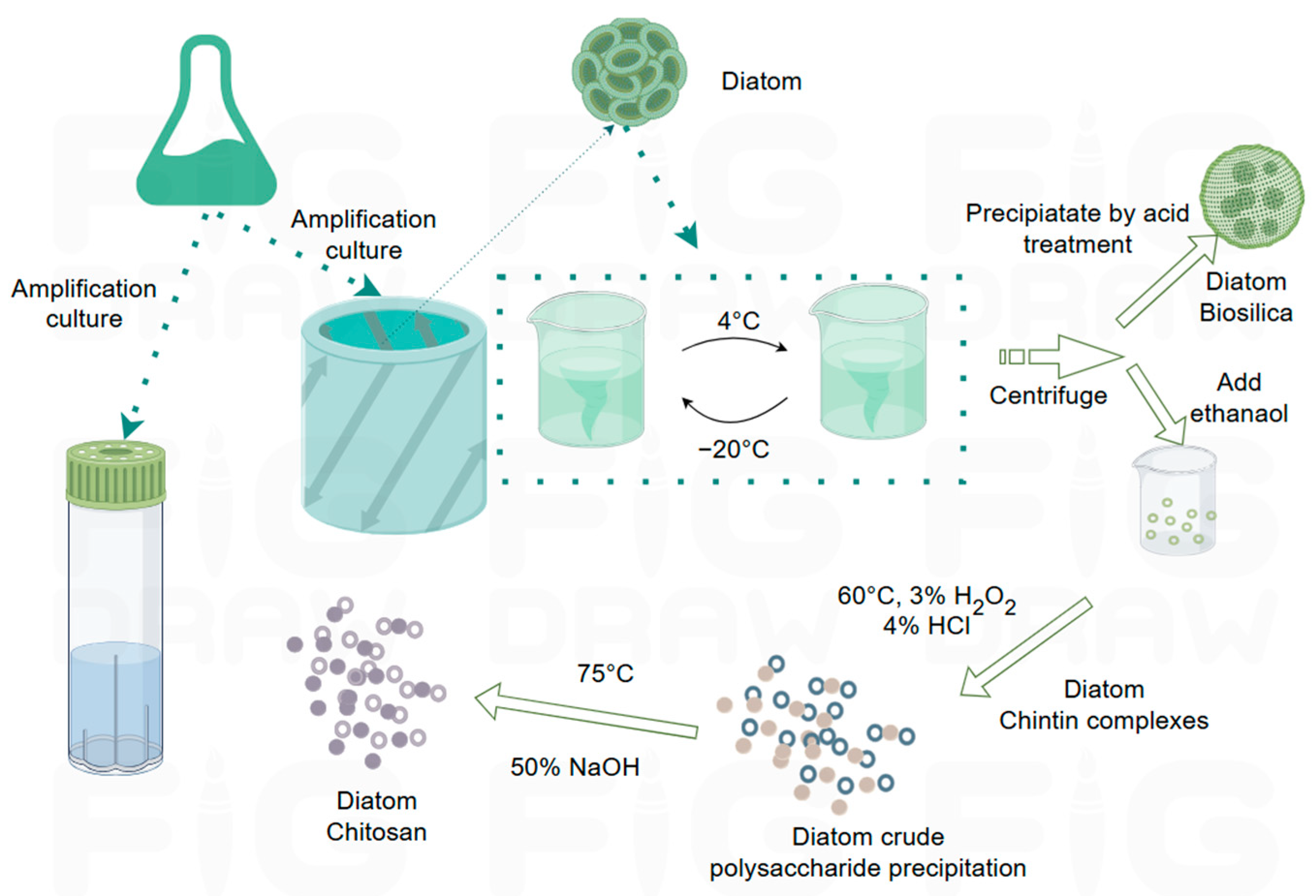 Polymers 17 02722 g003