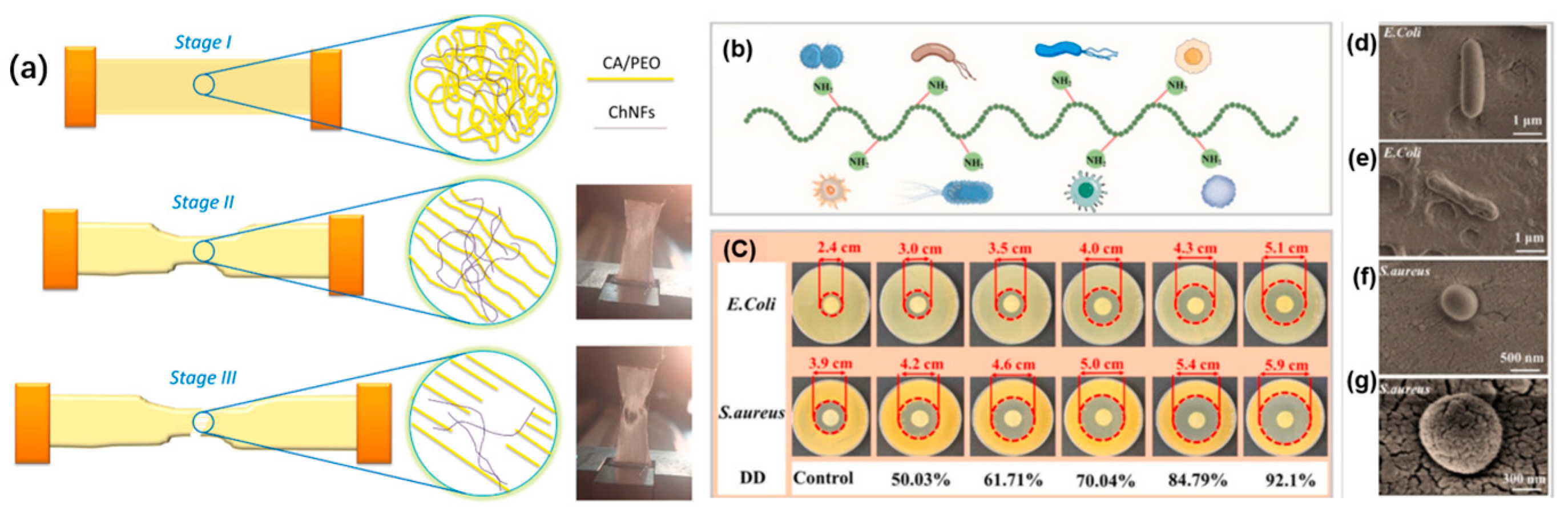 Polymers 17 02722 g004