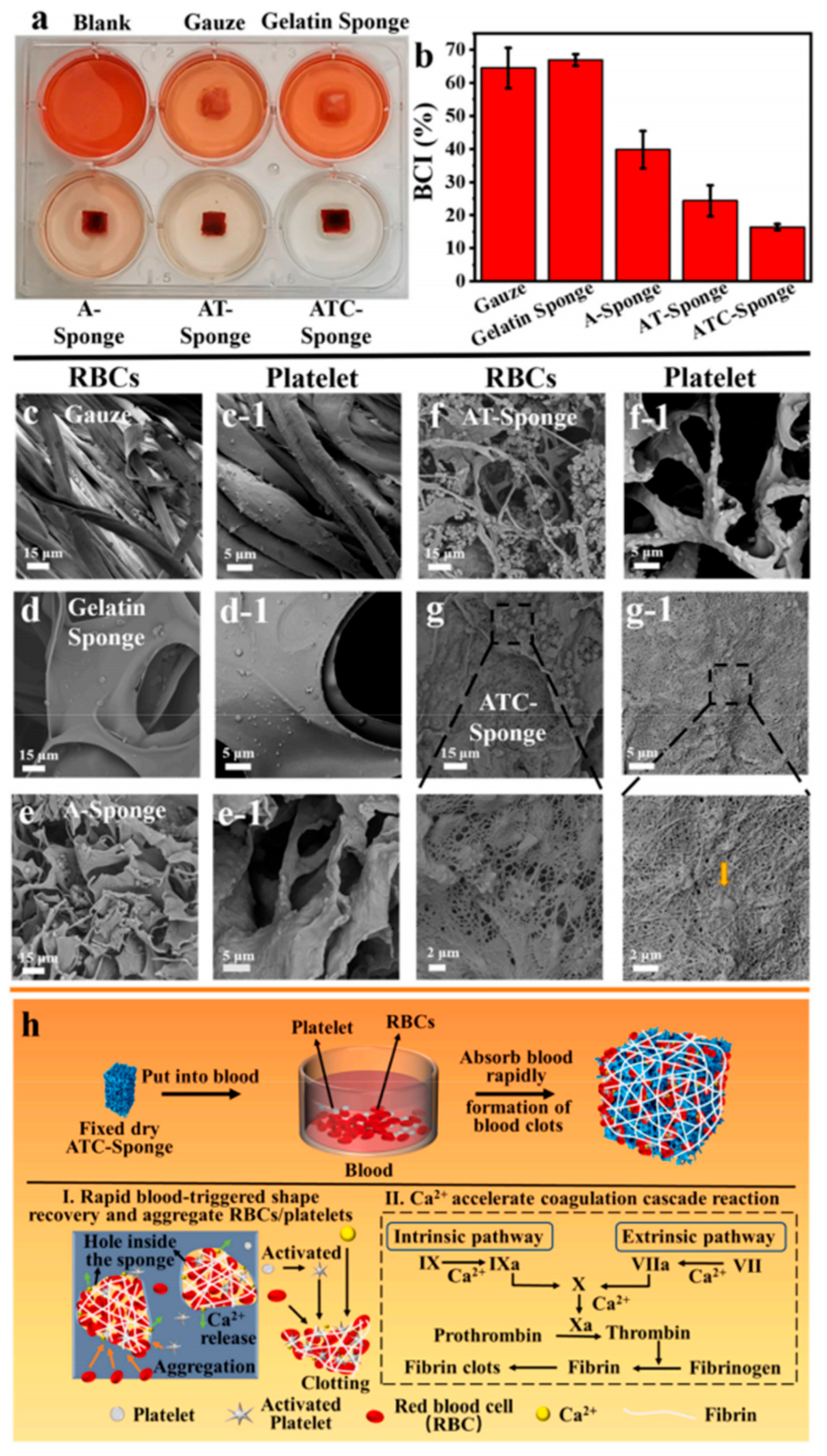Polymers 17 02722 g006