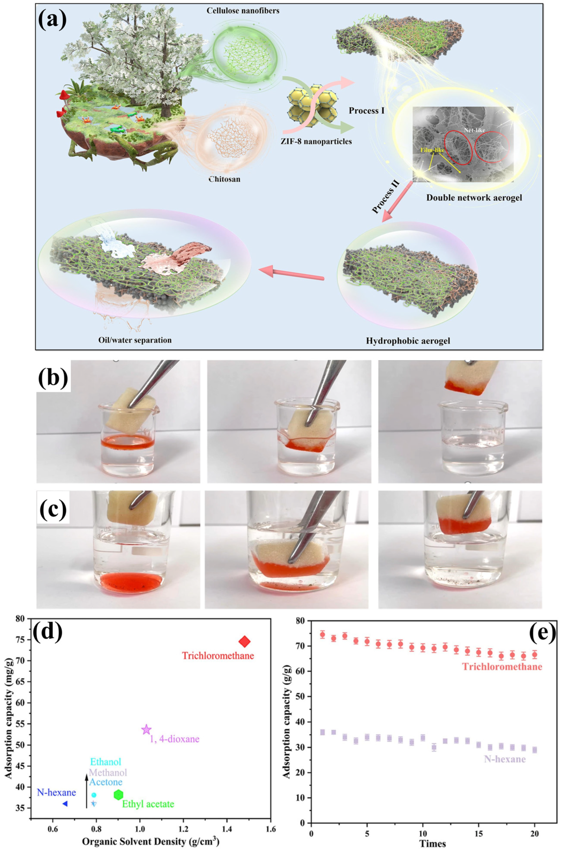 Polymers 17 02723 g005
