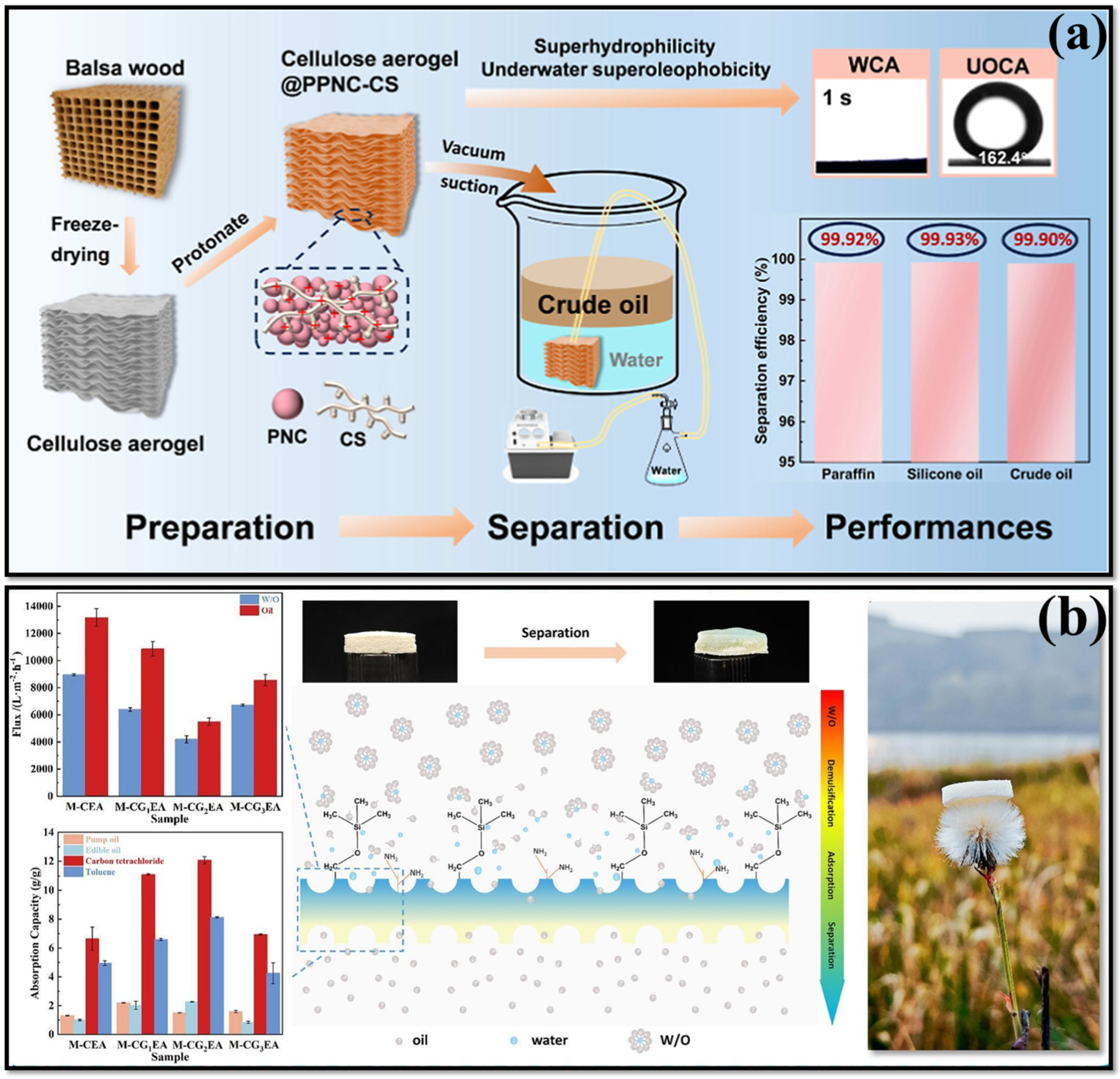 Polymers 17 02723 g006