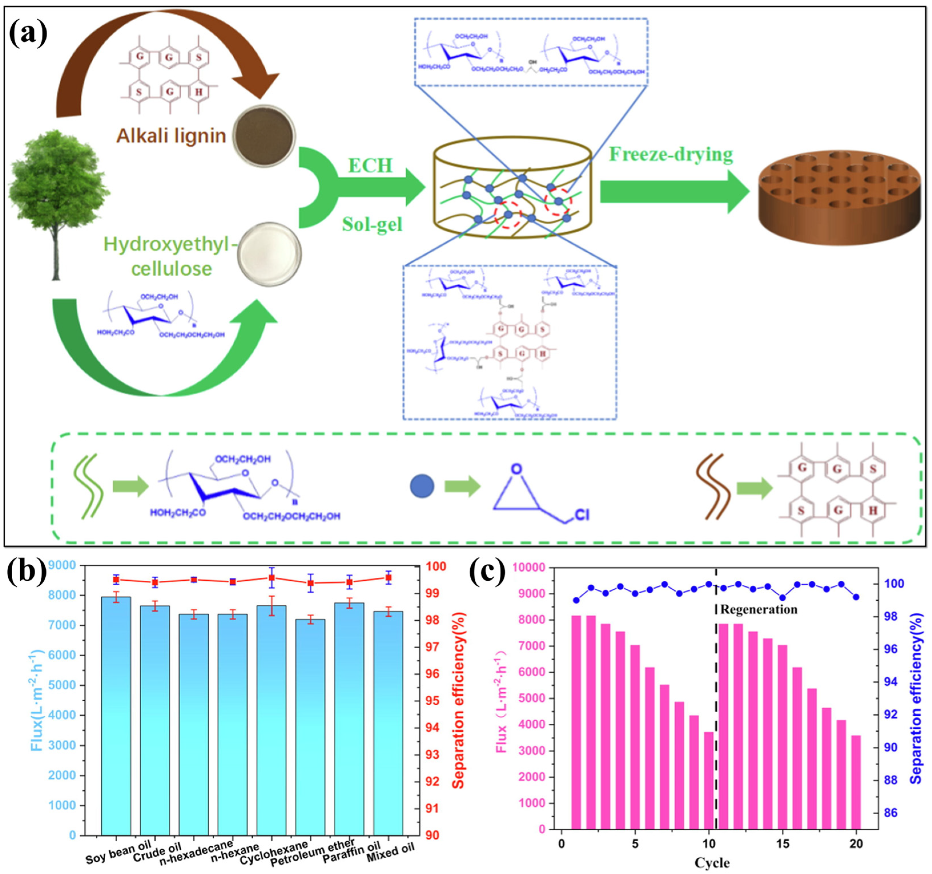 Polymers 17 02723 g007