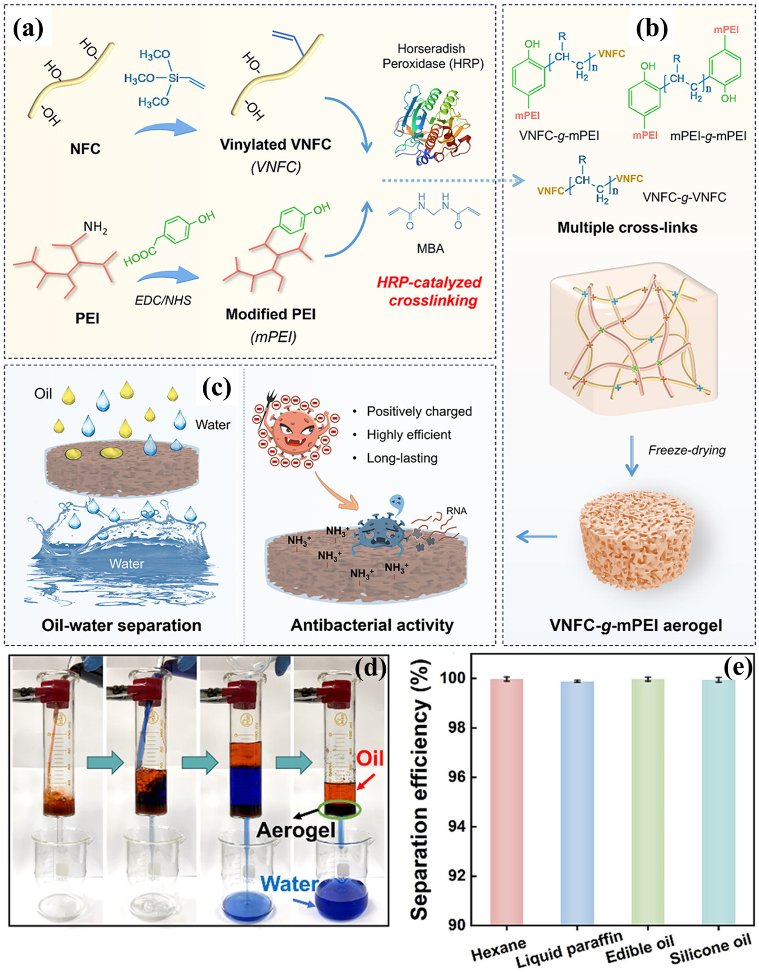 Polymers 17 02723 g011