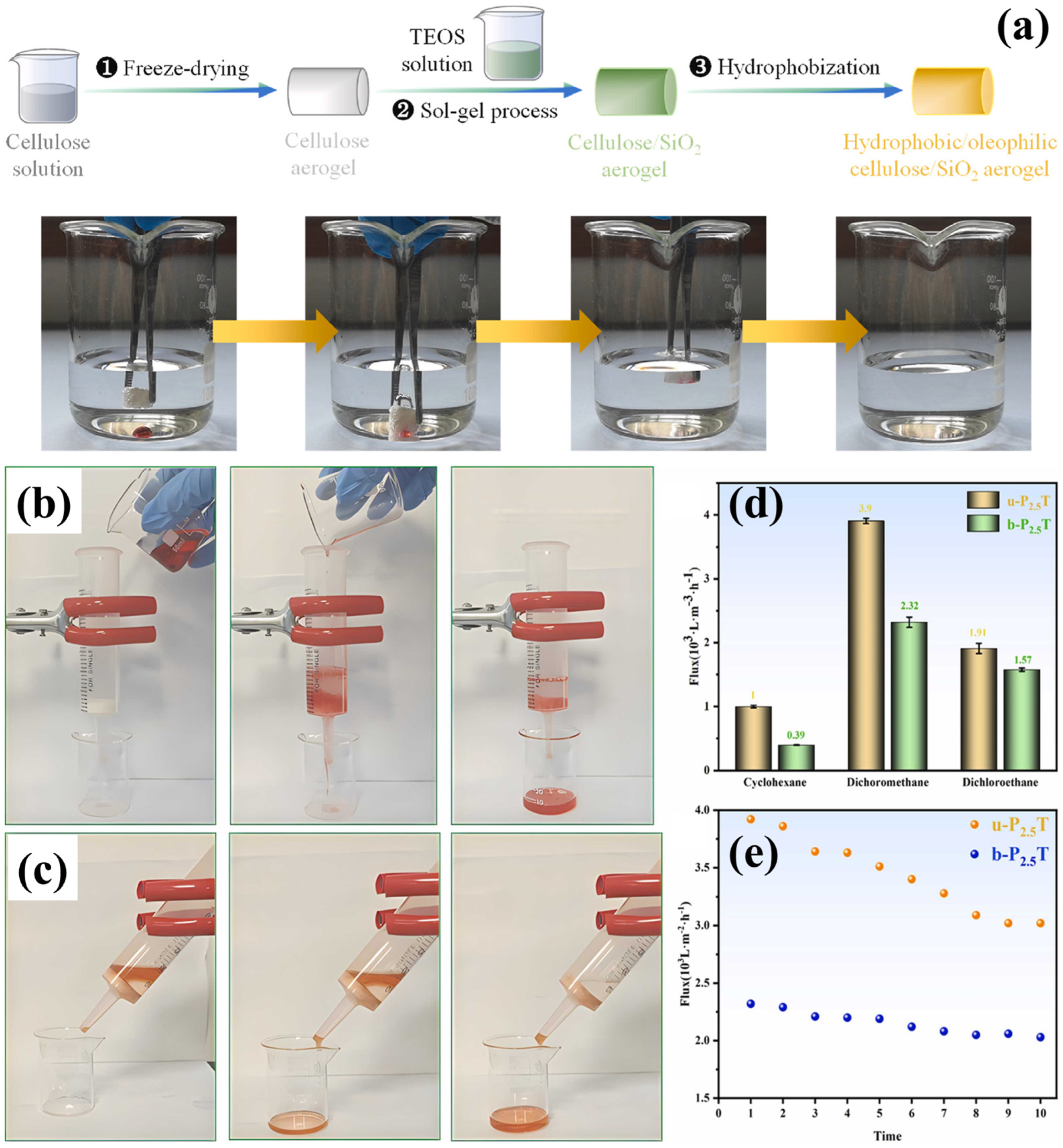 Polymers 17 02723 g014