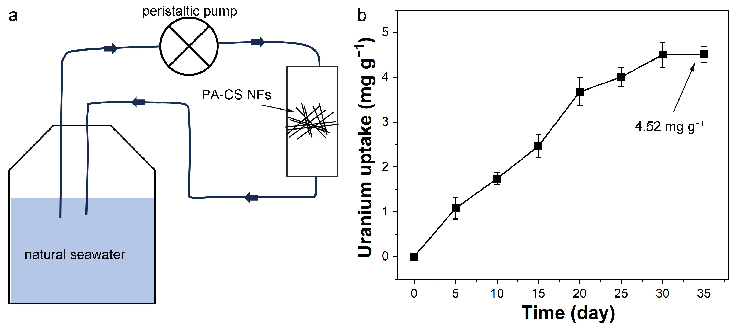 Polymers 17 02725 g008
