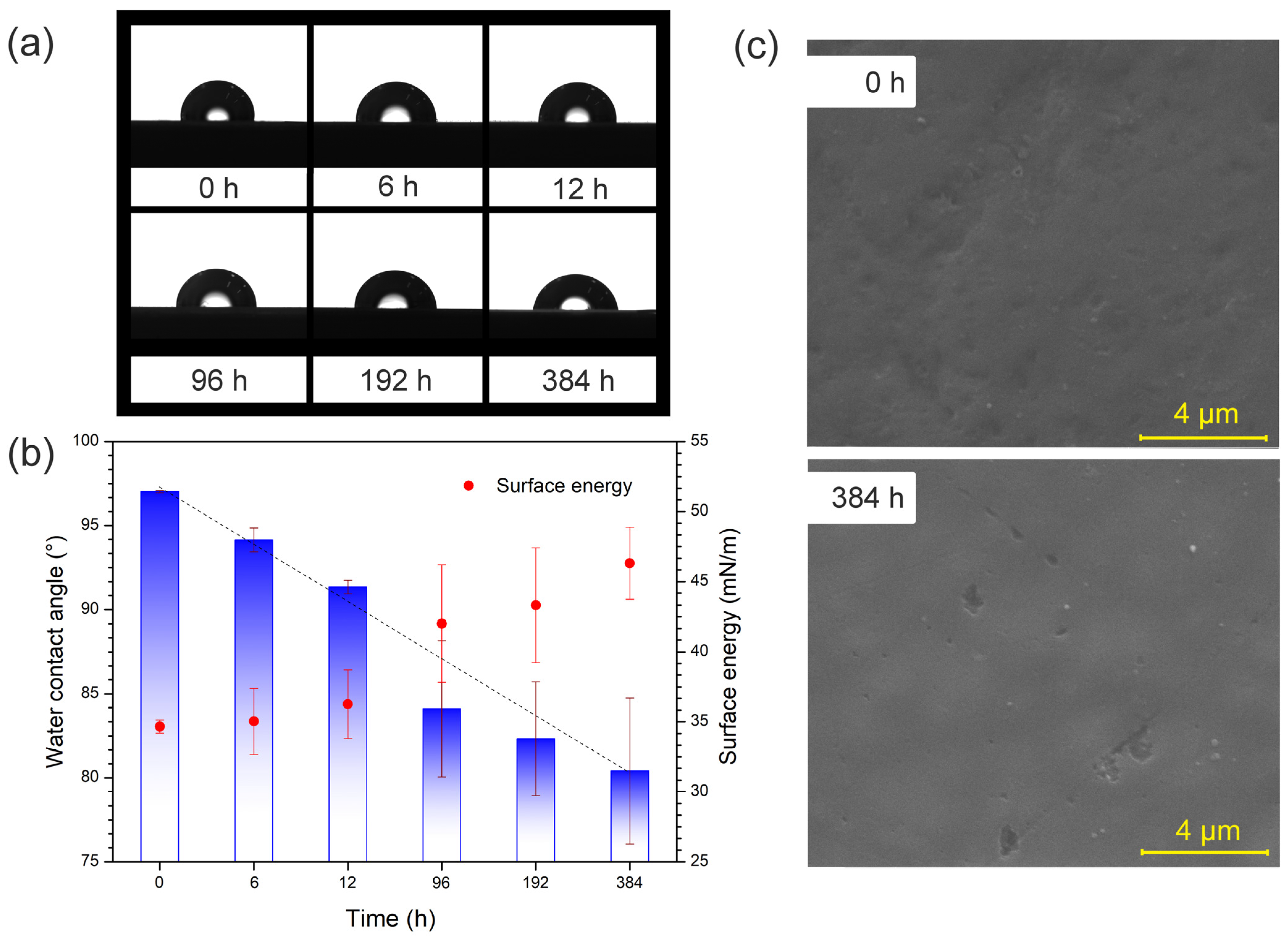 Polymers 17 02727 g006
