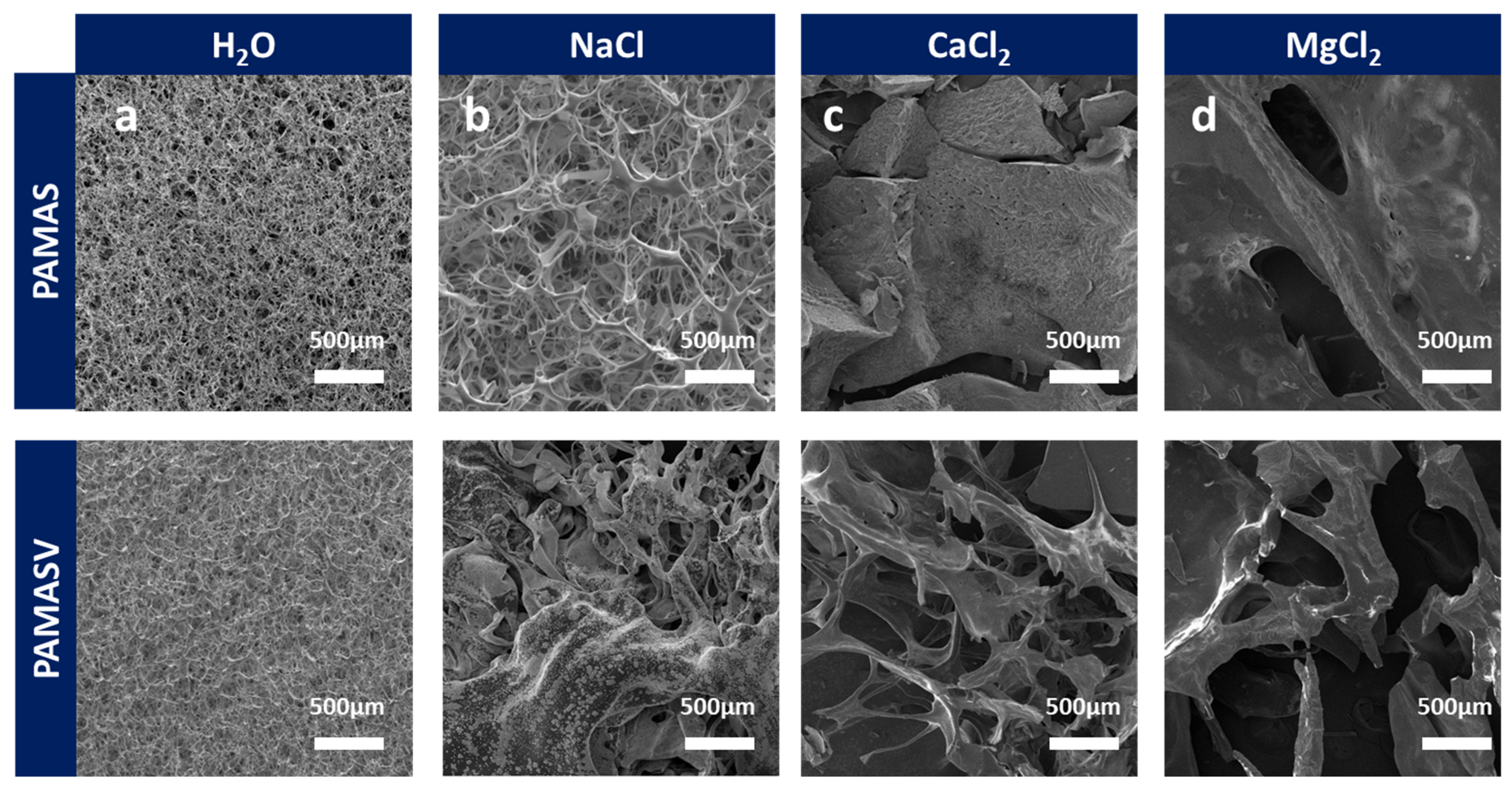 Polymers 17 02733 g005