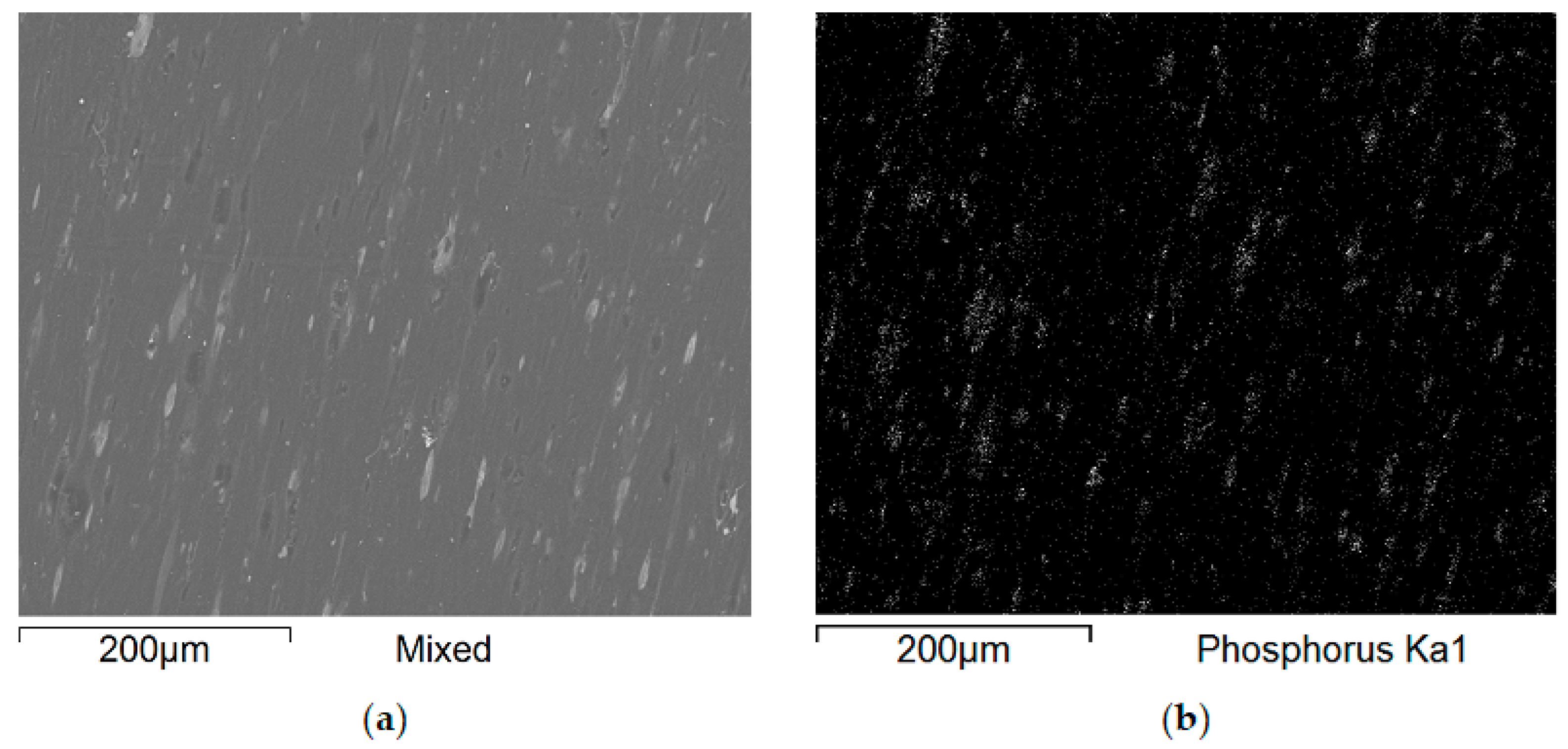 Polymers 17 02734 g009