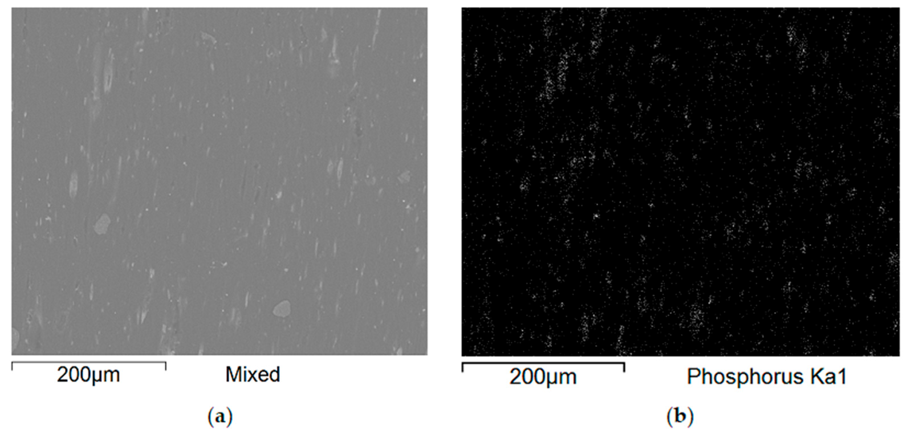 Polymers 17 02734 g010