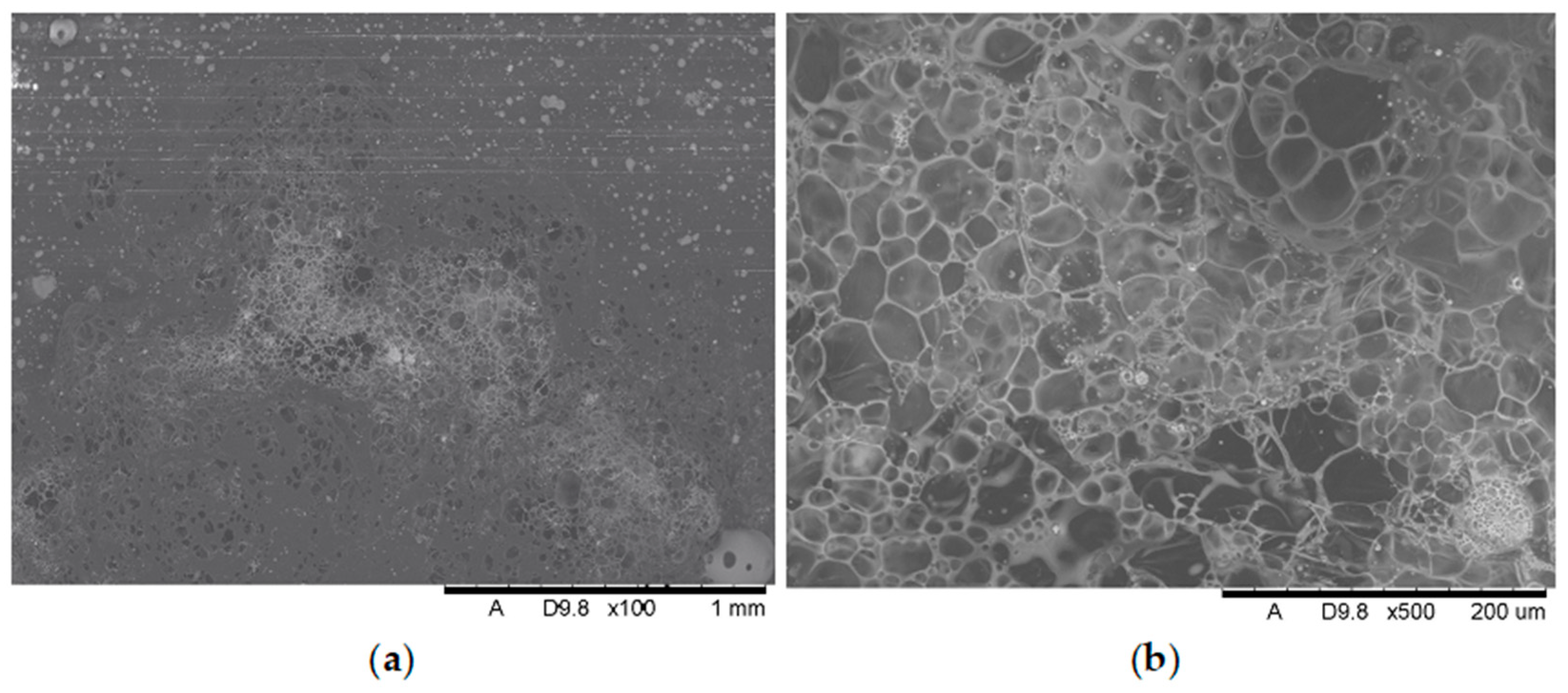 Polymers 17 02734 g014