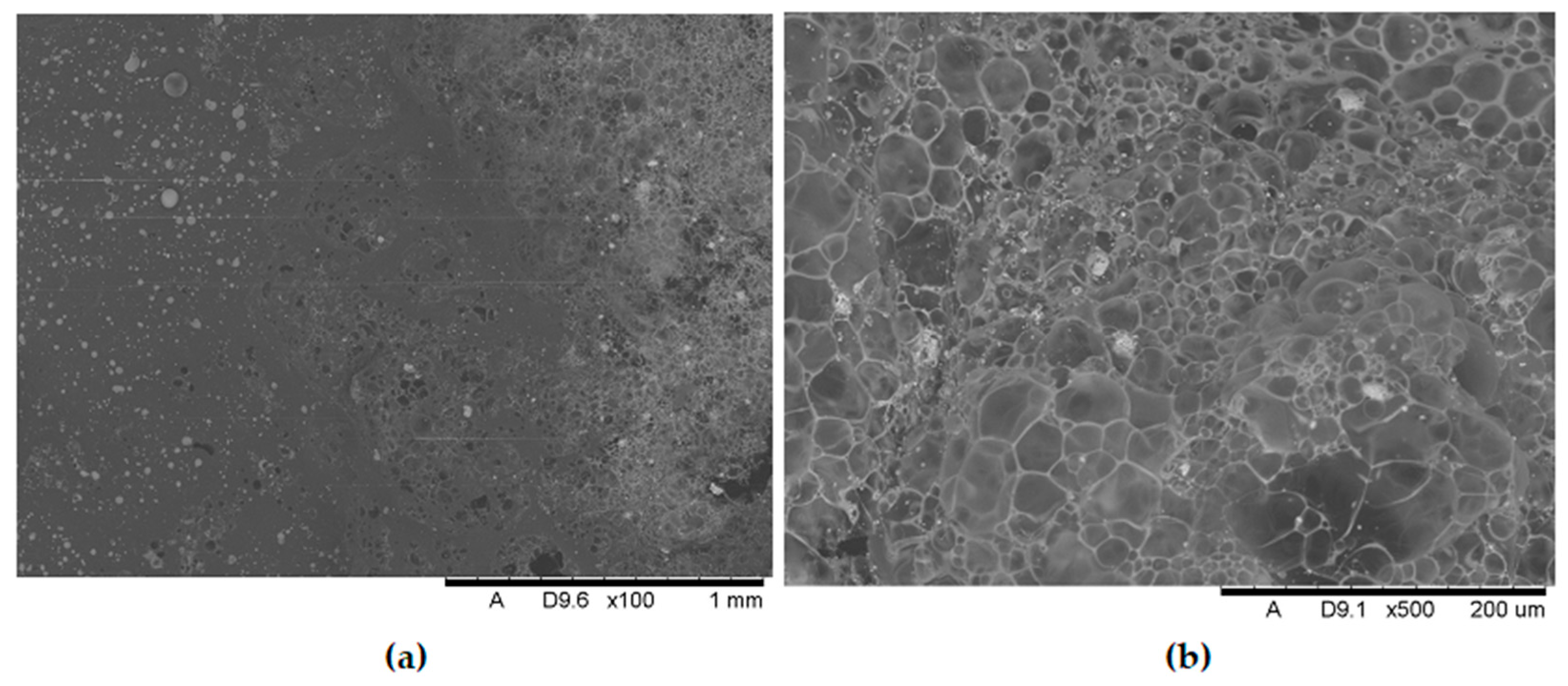 Polymers 17 02734 g015