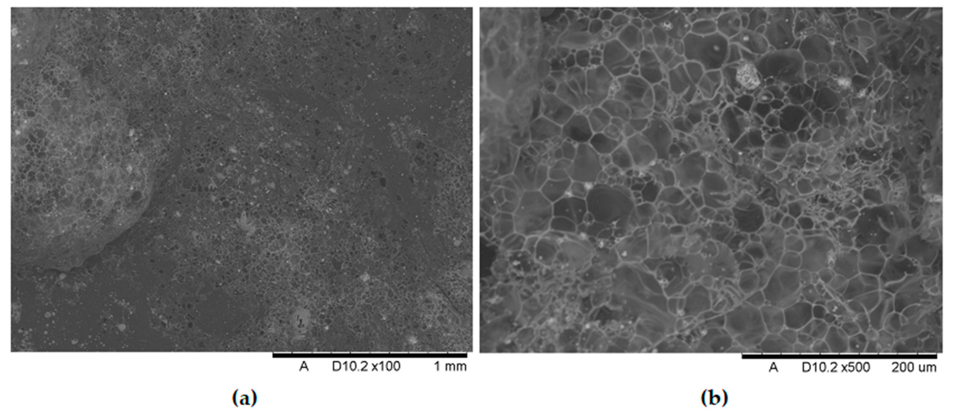 Polymers 17 02734 g016