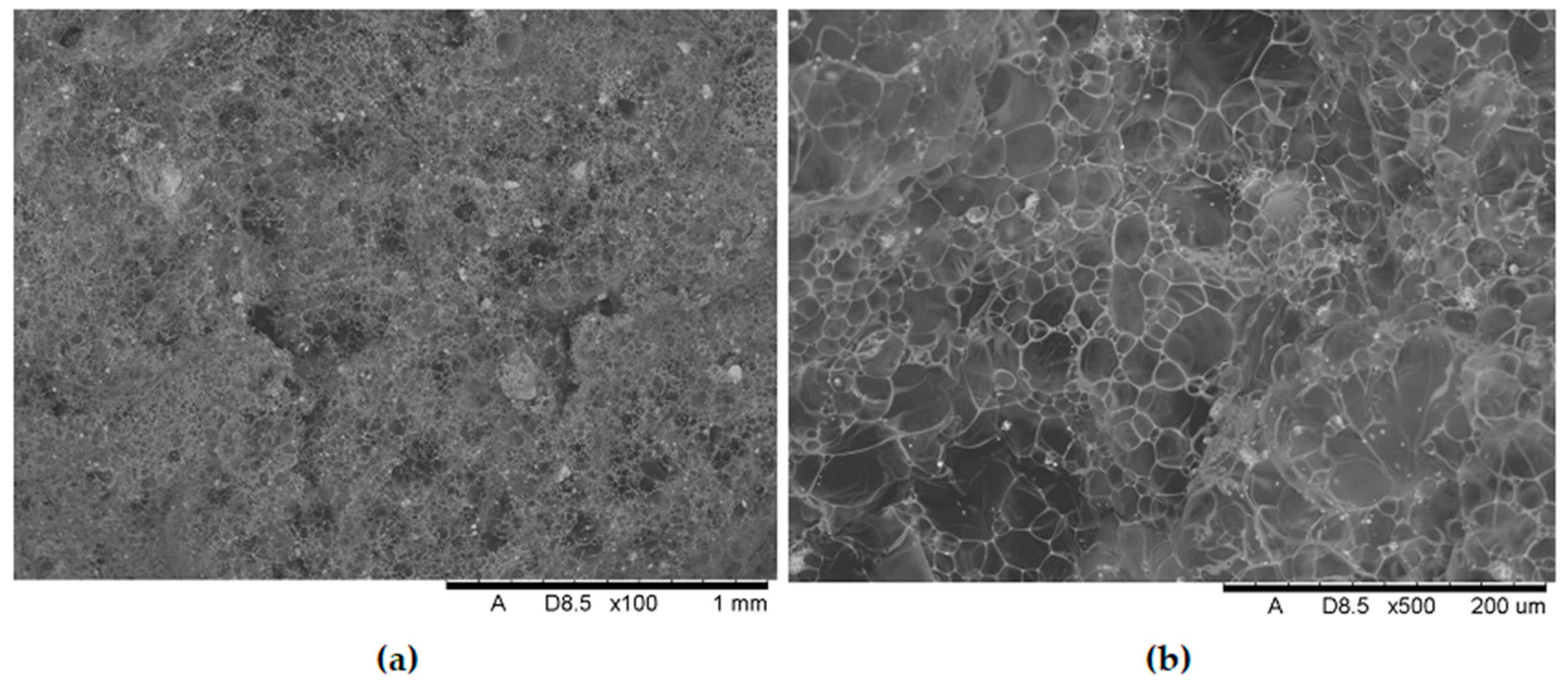 Polymers 17 02734 g017