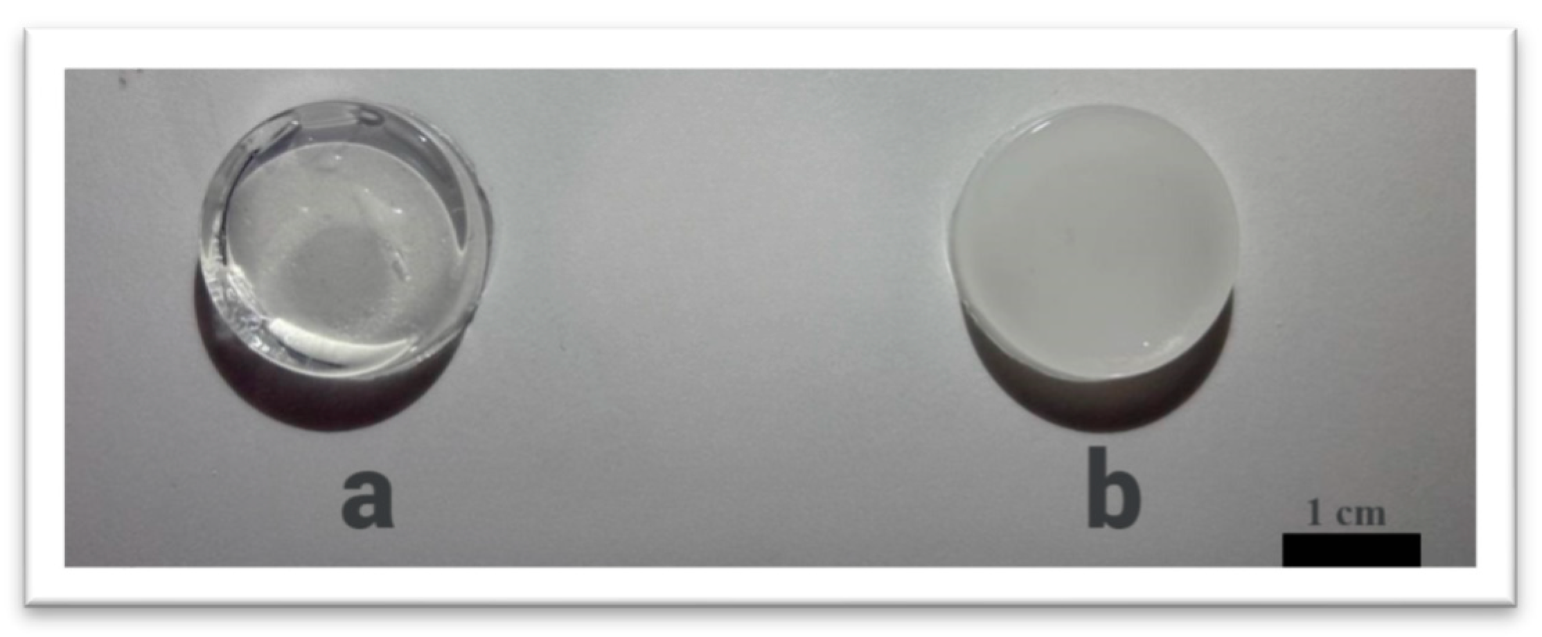 Polymers 17 02737 g003