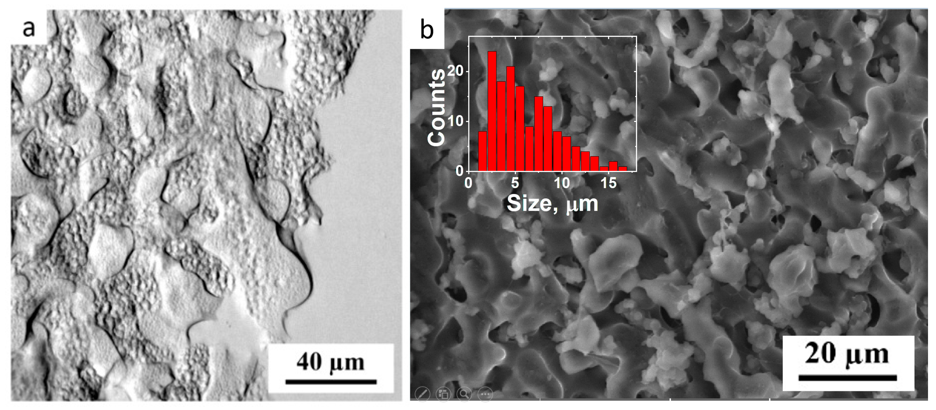 Polymers 17 02737 g004