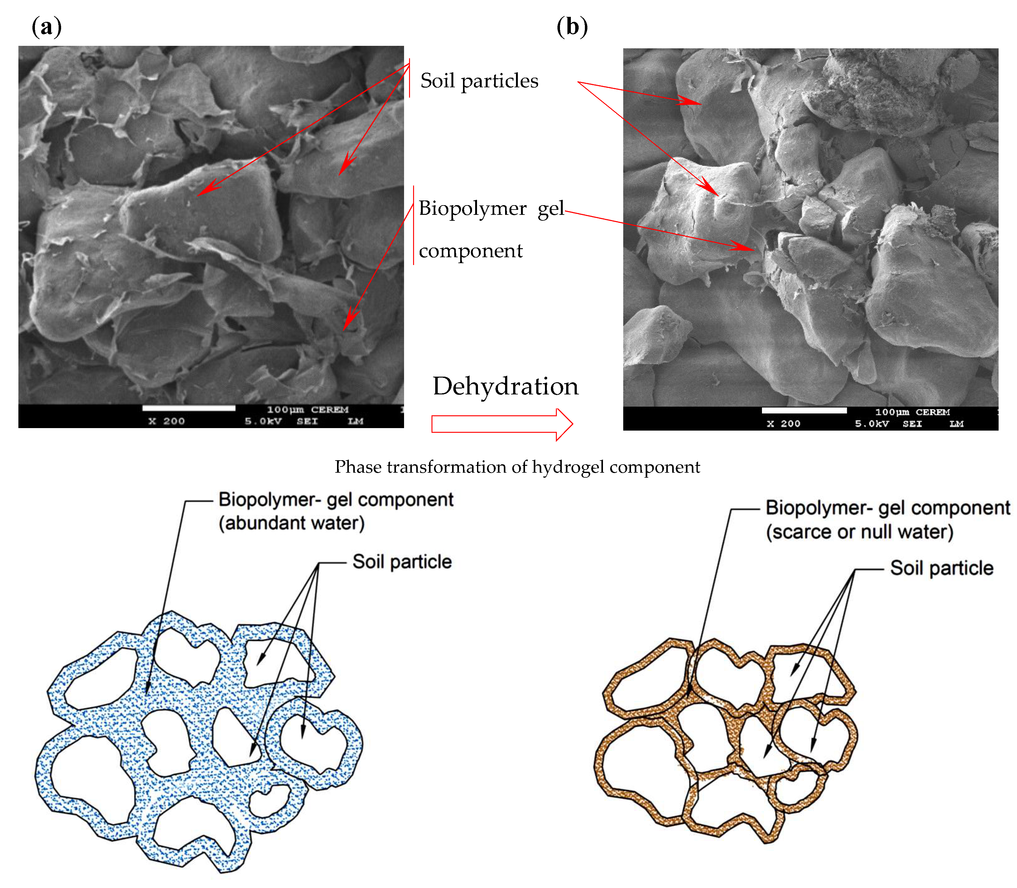 Polymers 17 02738 g012 Polymers 17 02738 g012