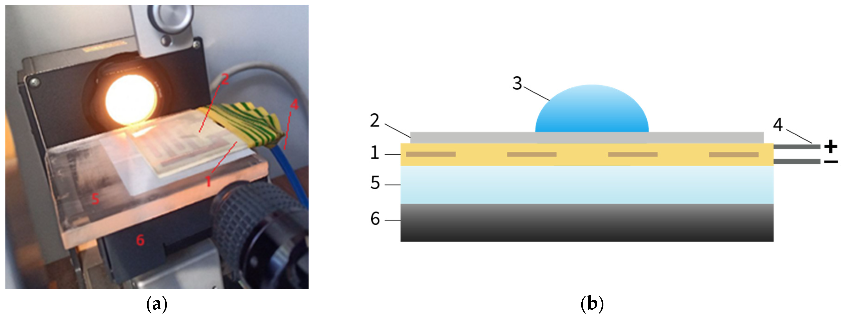 Polymers 17 02739 g002