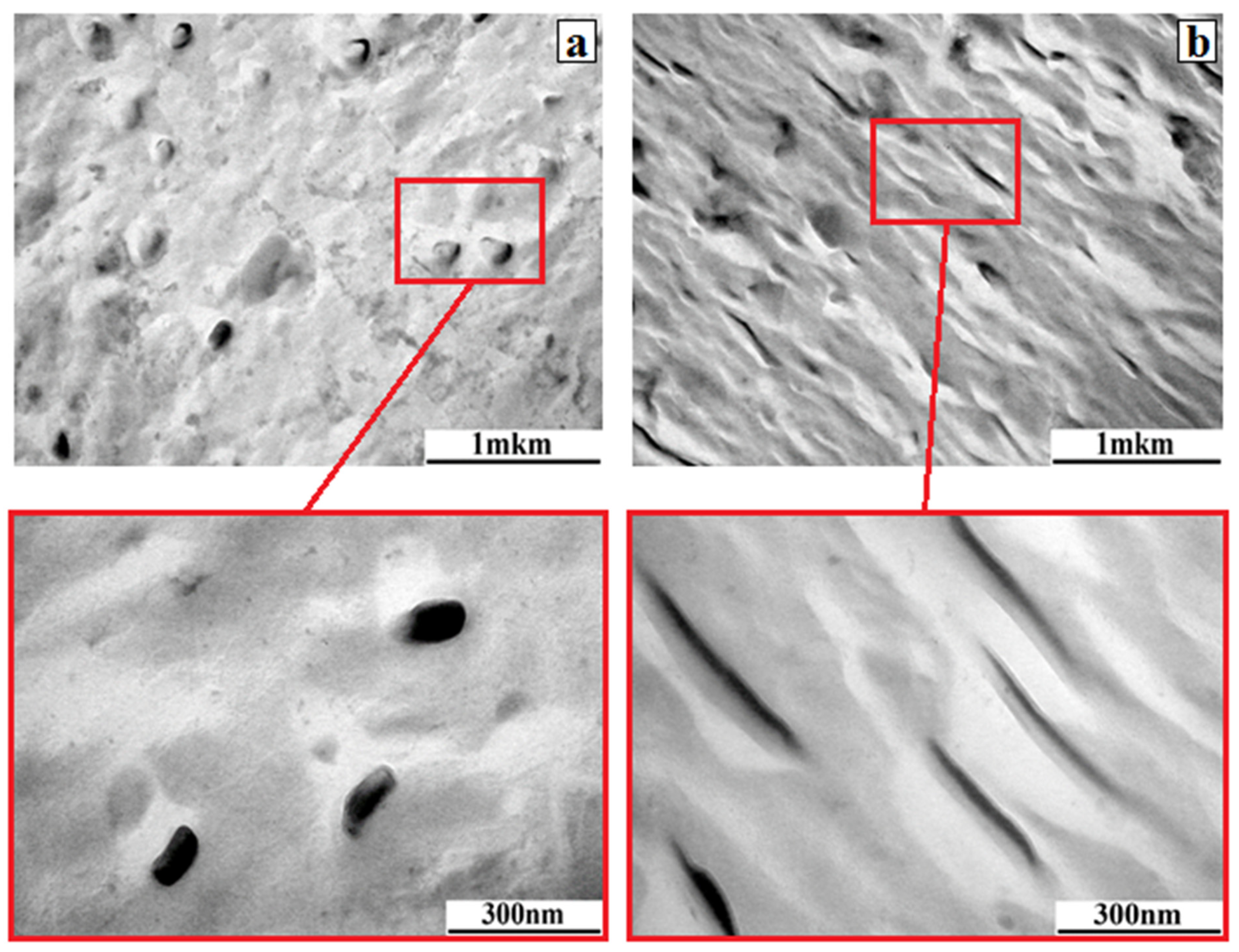 Polymers 17 02739 g011