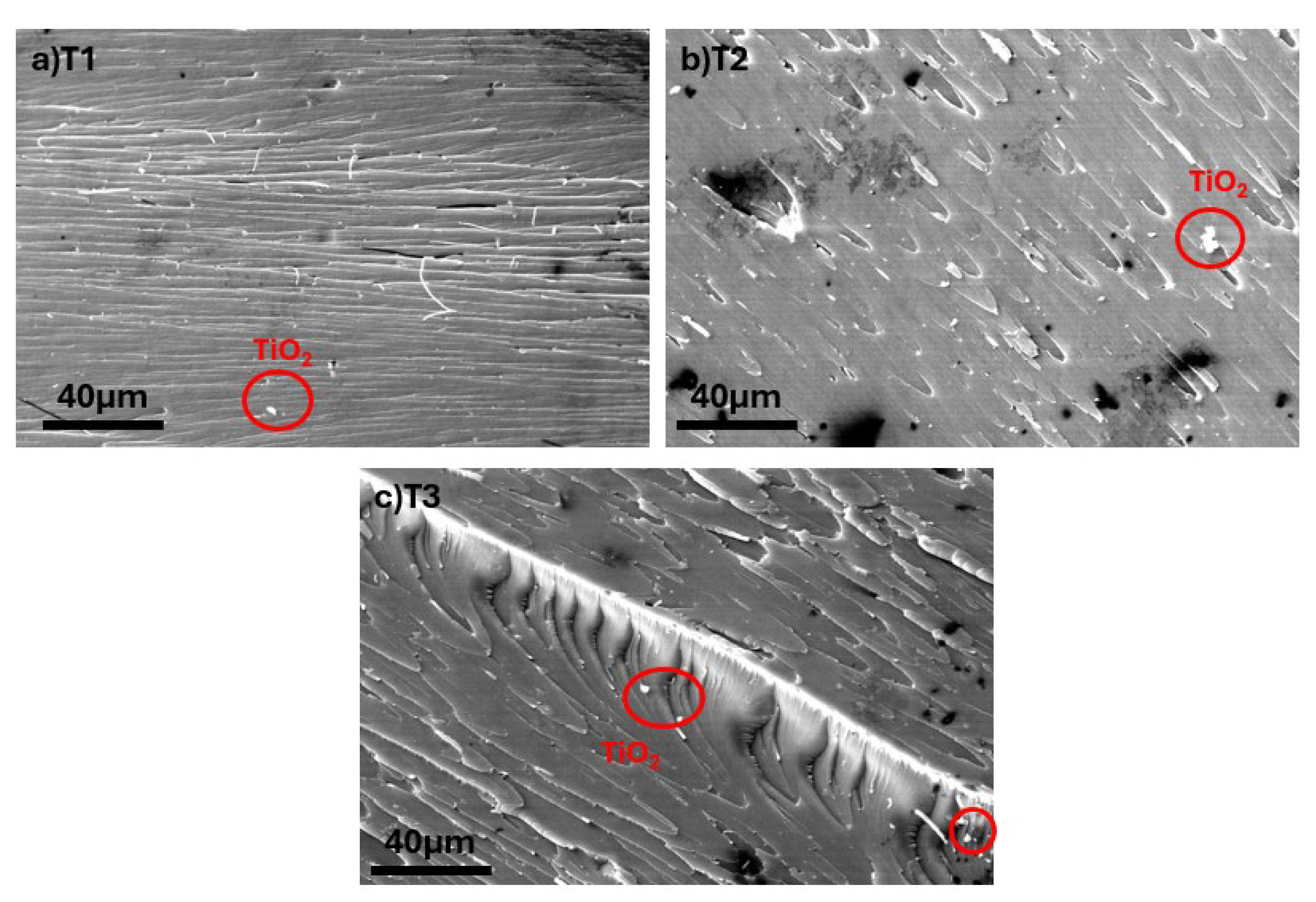 Polymers 17 02740 g006 Polymers 17 02740 g006