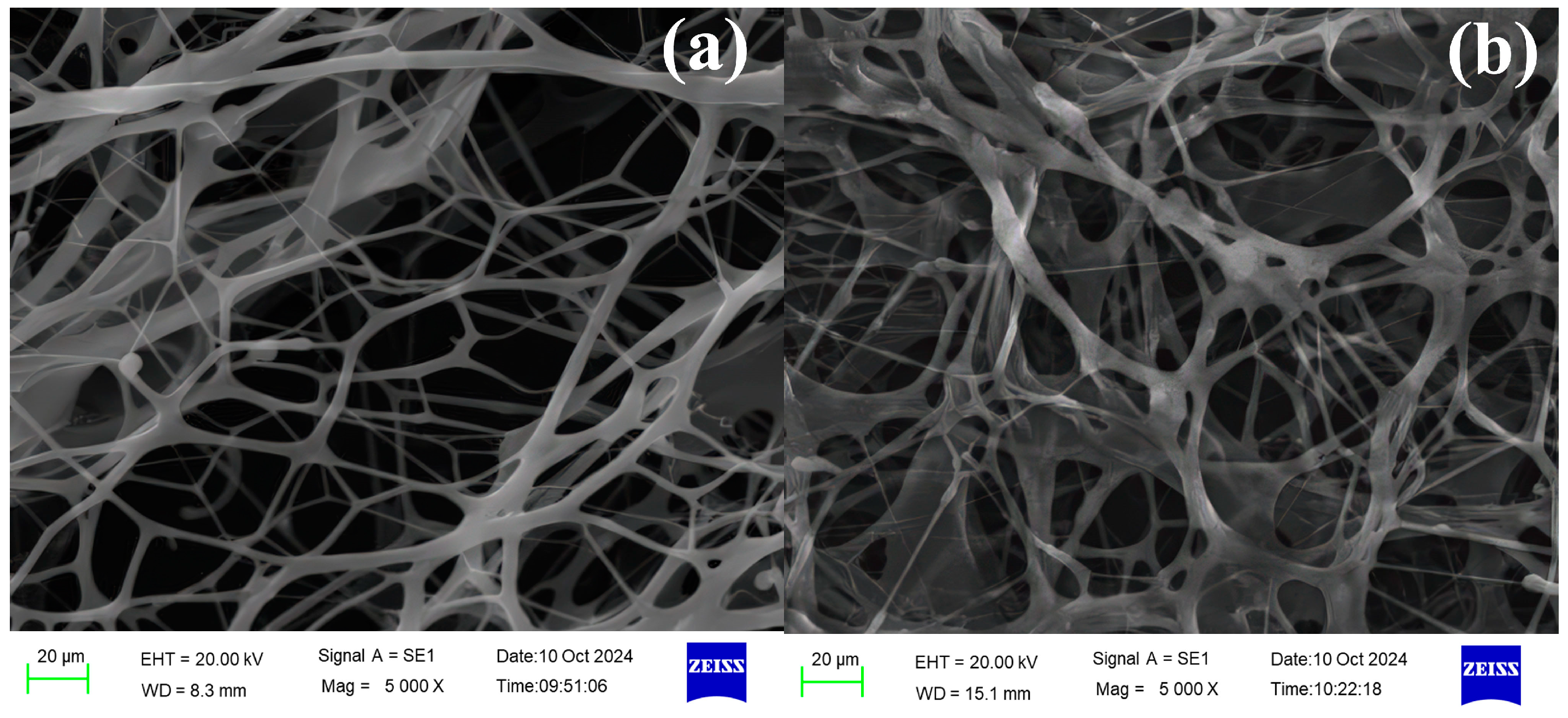 Polymers 17 02741 g003