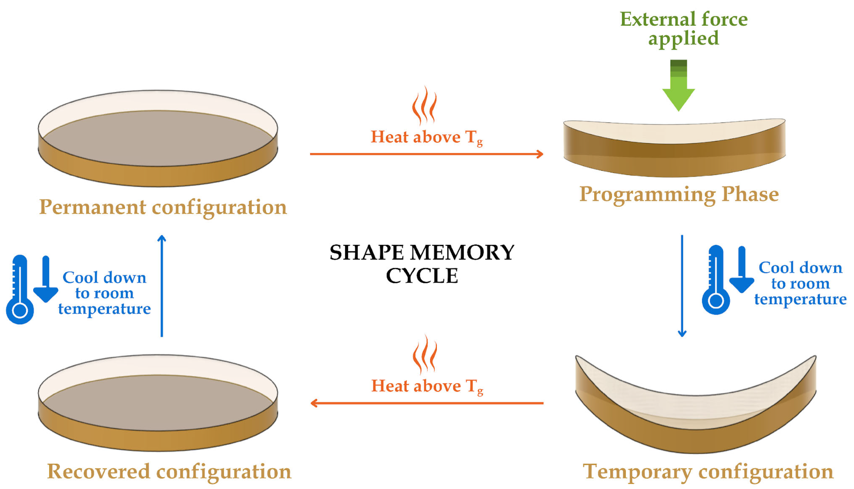 Polymers 17 02742 g001 Polymers 17 02742 g001