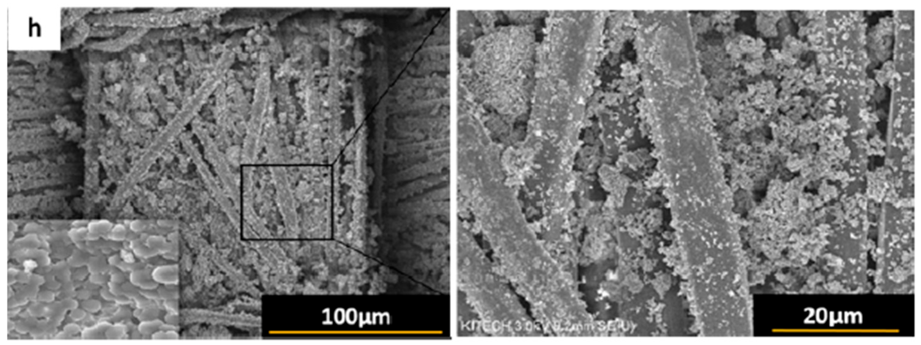 Polymers 17 02744 g002