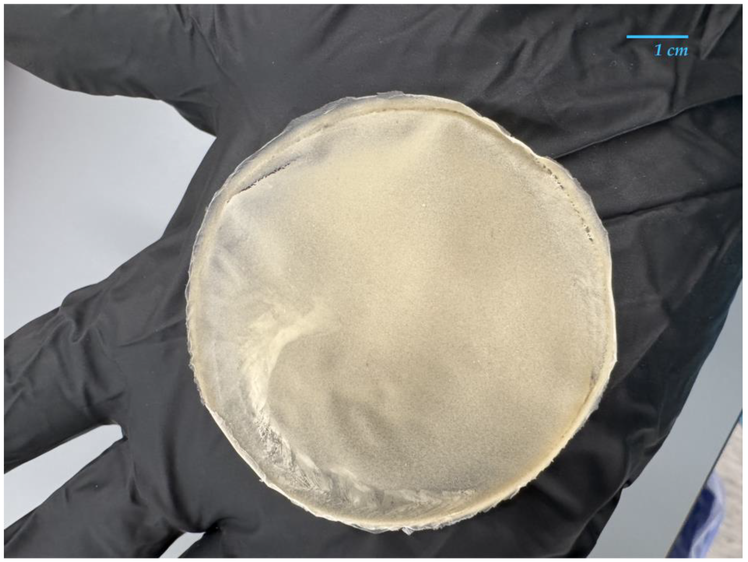 Polymers 17 02745 g001