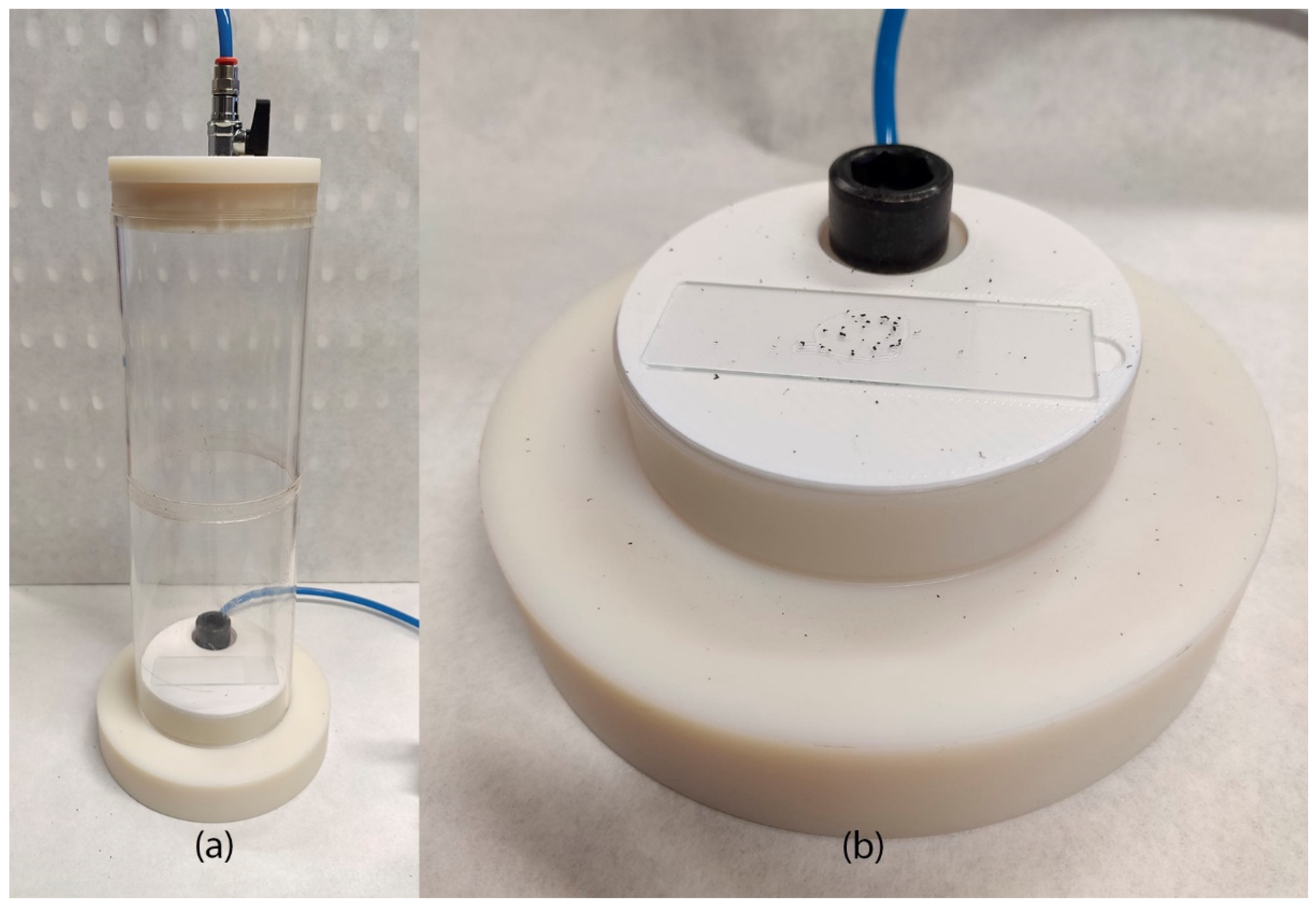 Polymers 17 02748 g002 Polymers 17 02748 g002