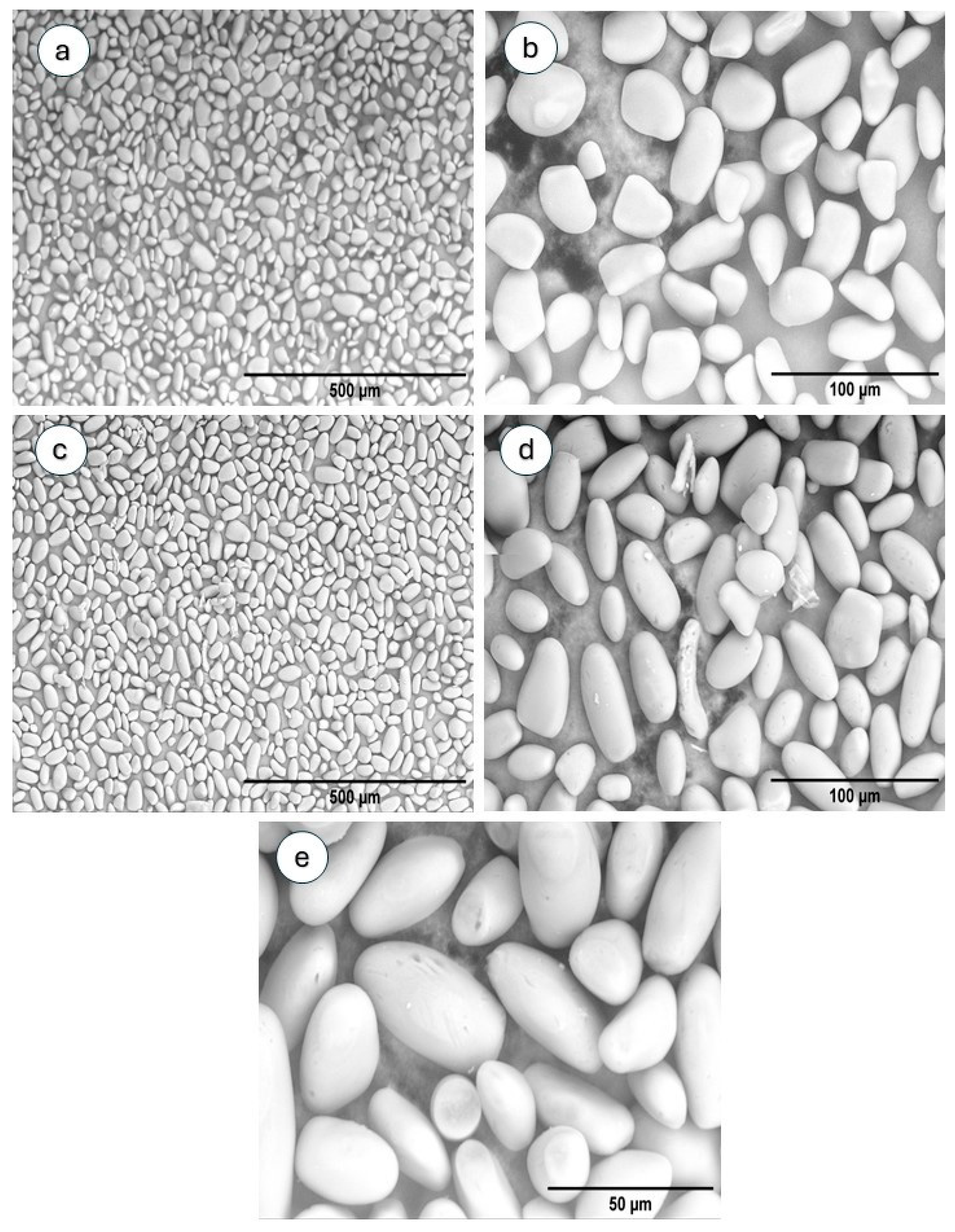 Polymers 17 02754 g002 Polymers 17 02754 g002