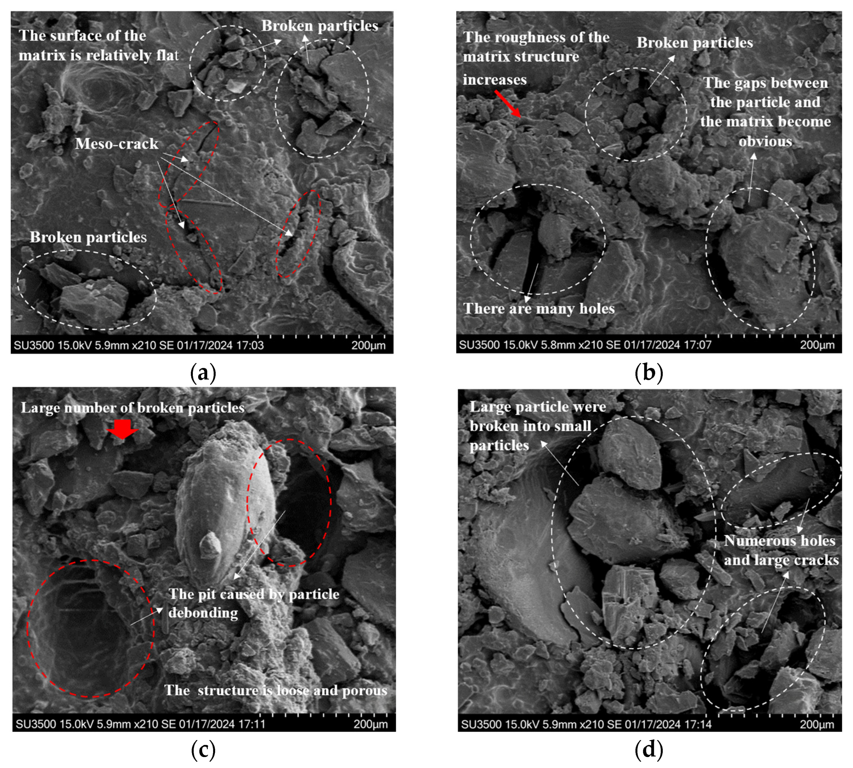 Polymers 17 02756 g008 Polymers 17 02756 g008