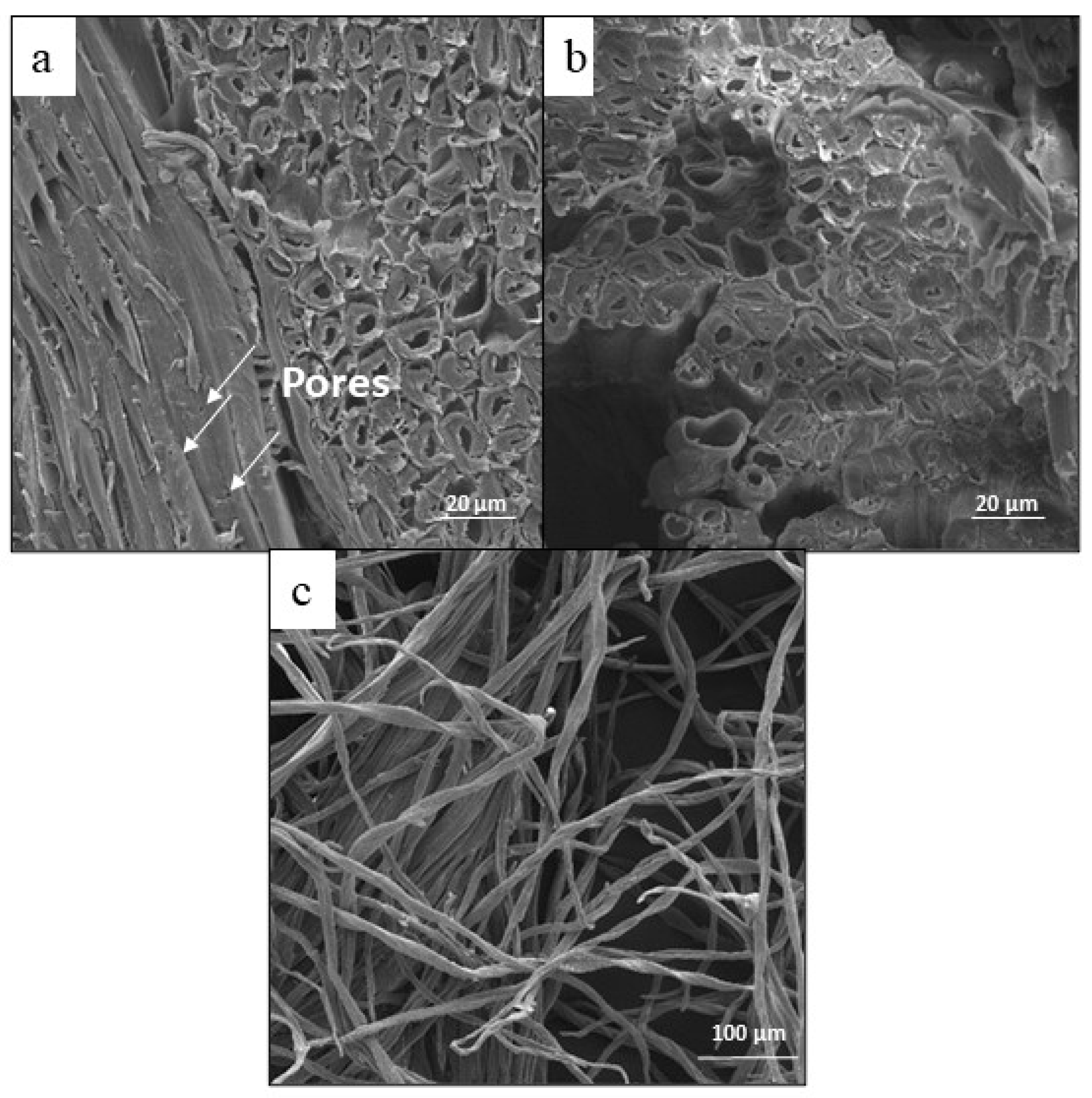 Polymers 17 02757 g003