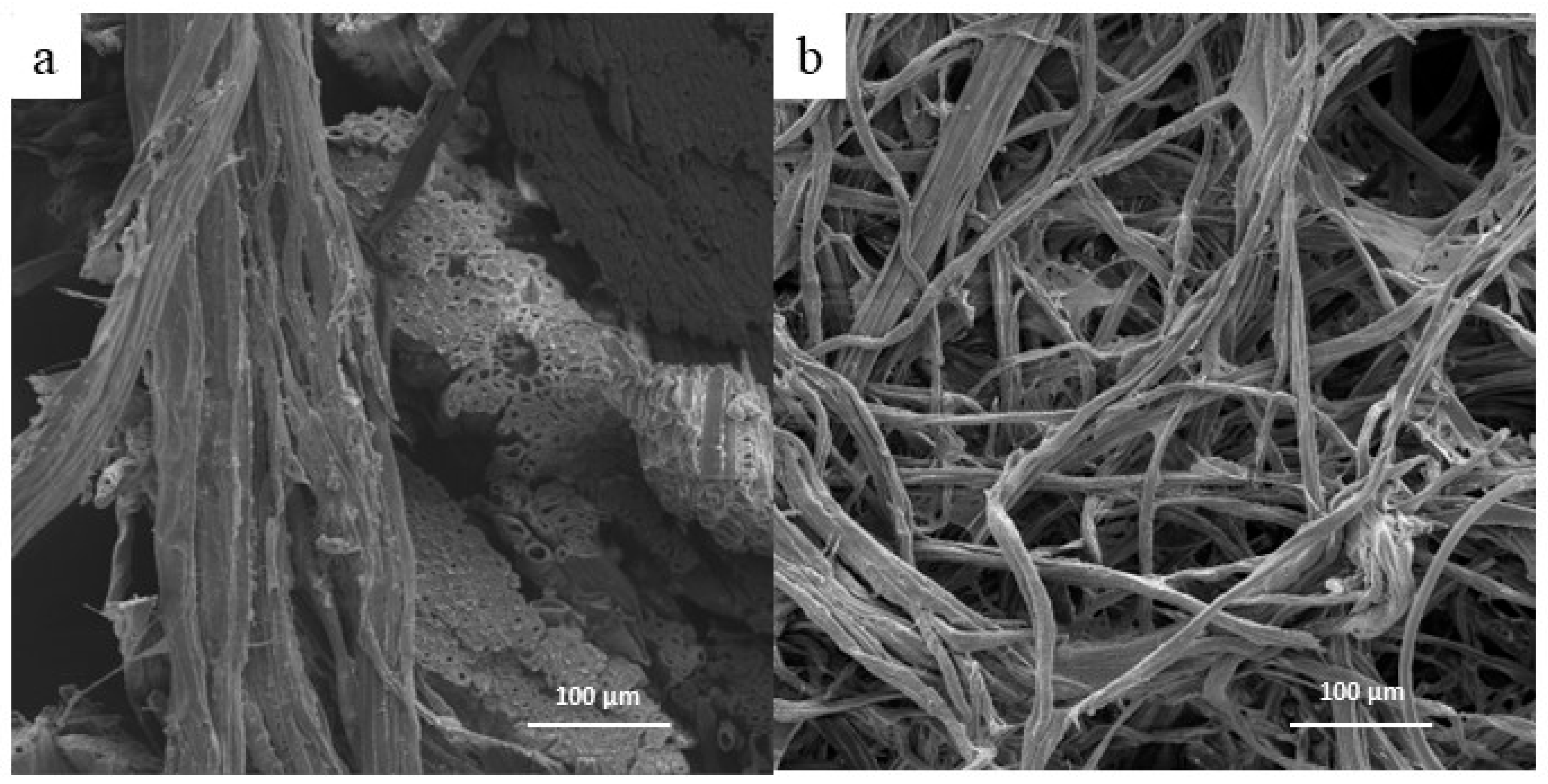 Polymers 17 02757 g004