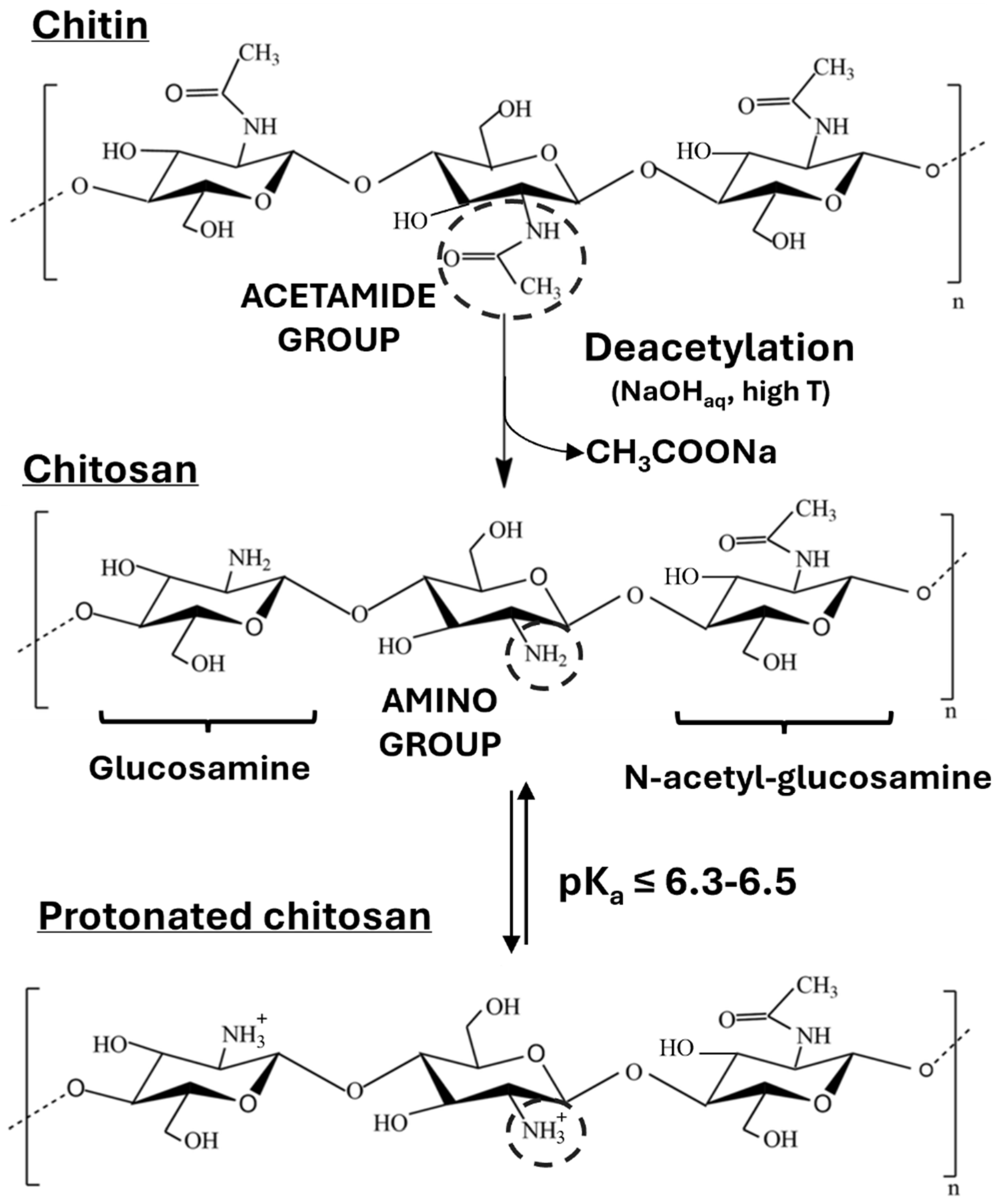 Polymers 17 02758 g001