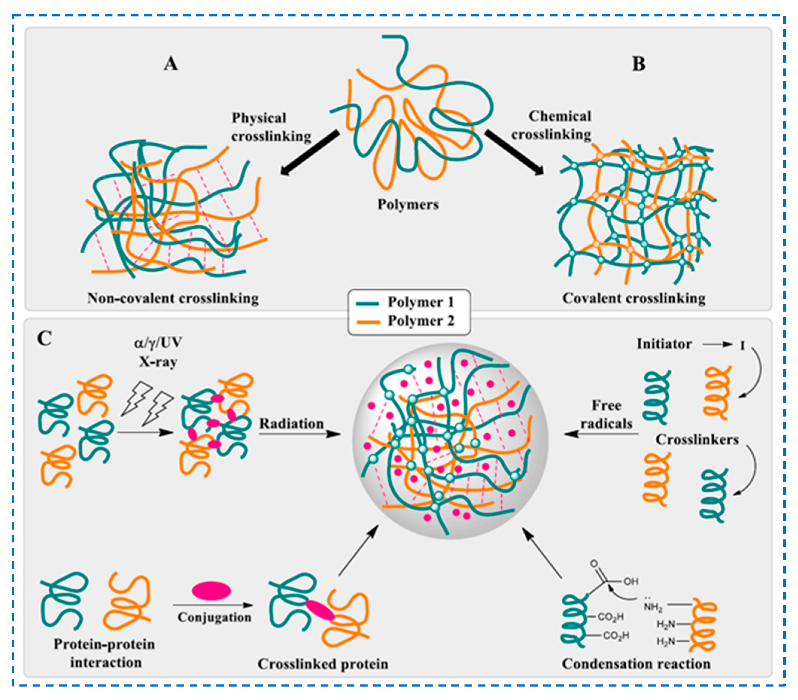 Polymers 17 02760 g006