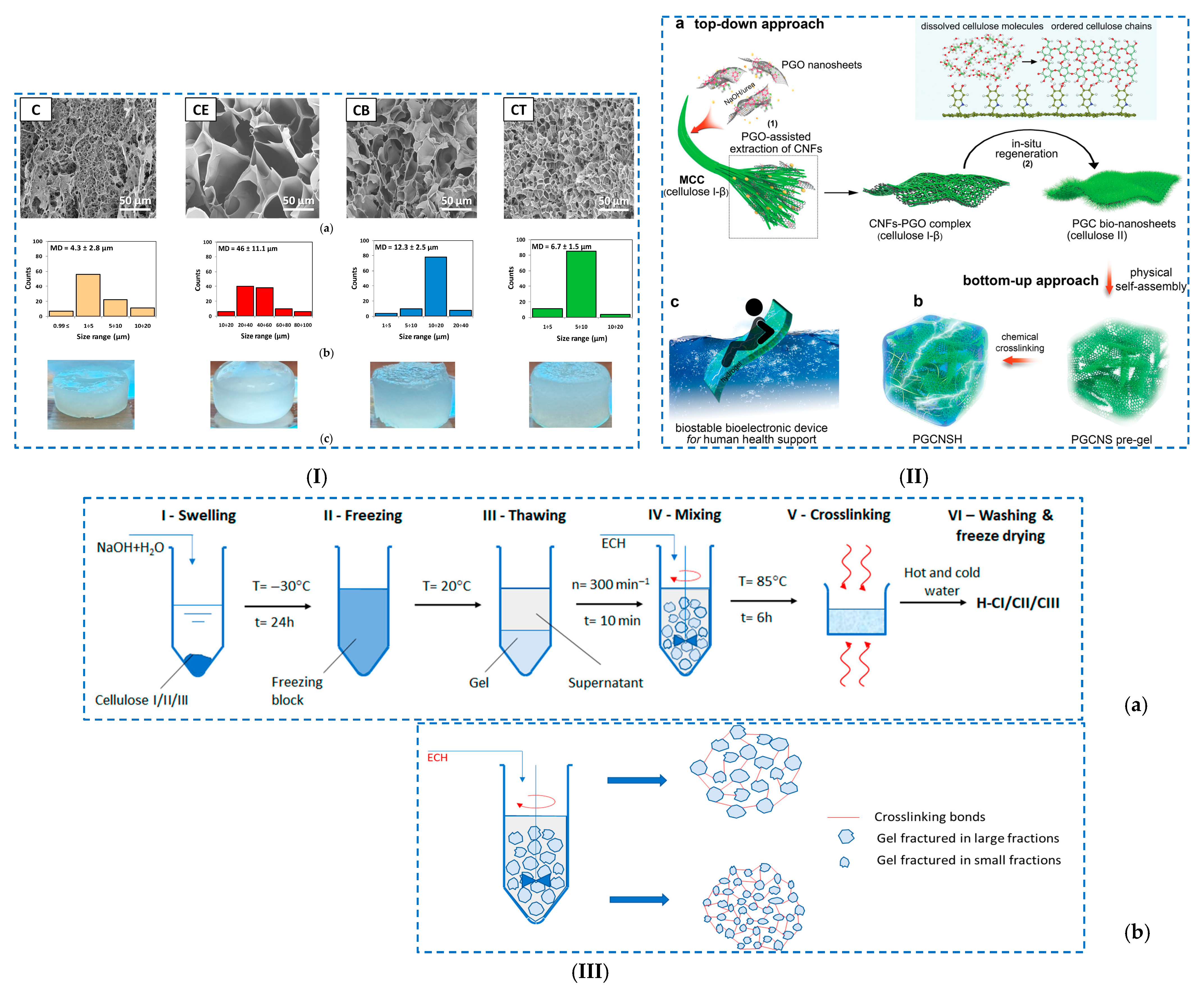 Polymers 17 02760 g007
