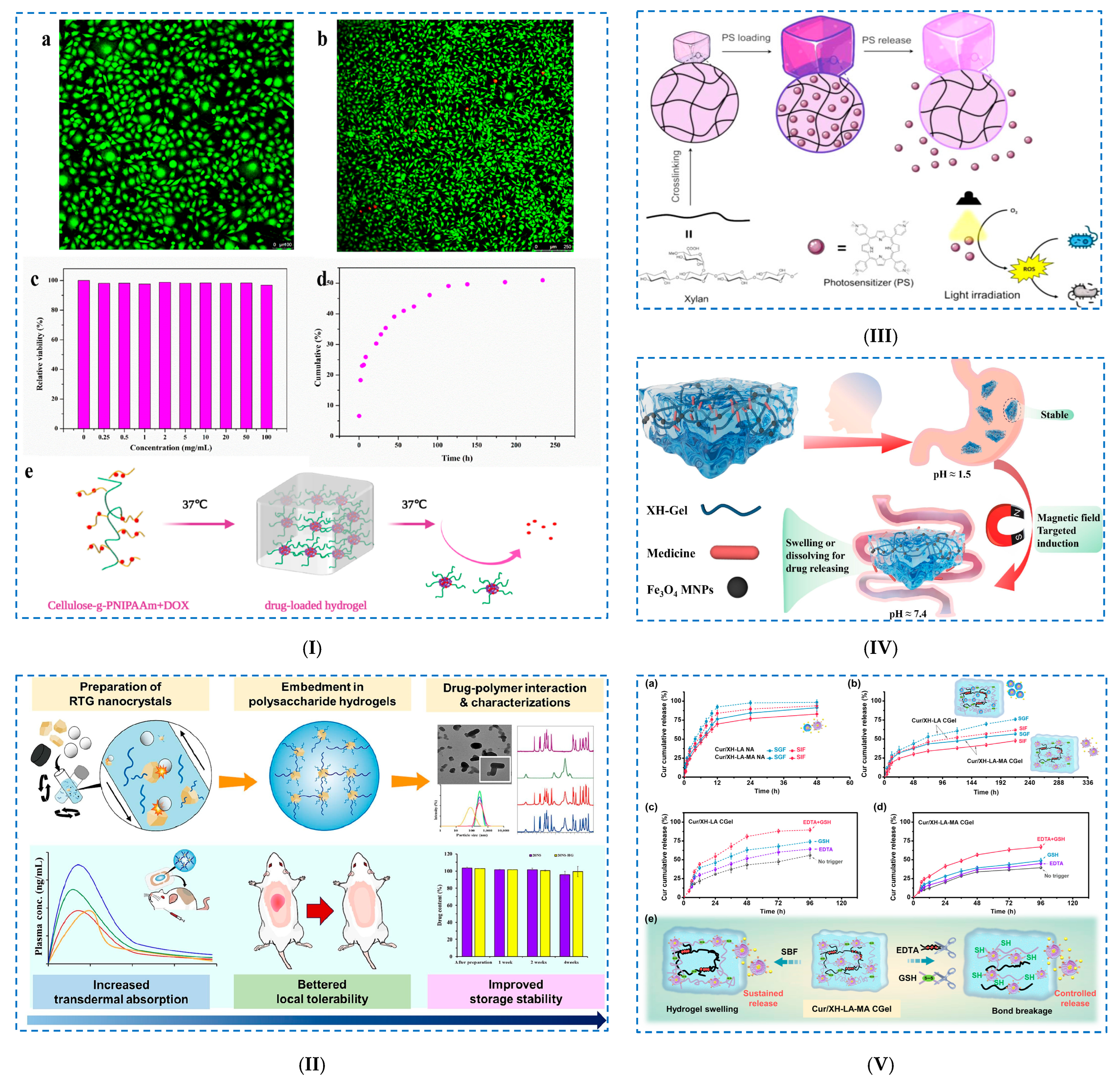 Polymers 17 02760 g010